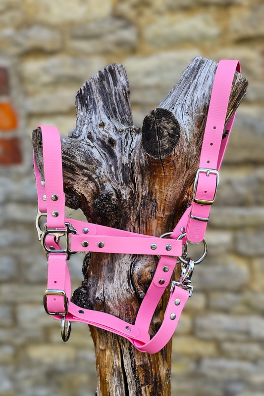 Baby Pink - Classic BioThane® waterproof Horse Halter