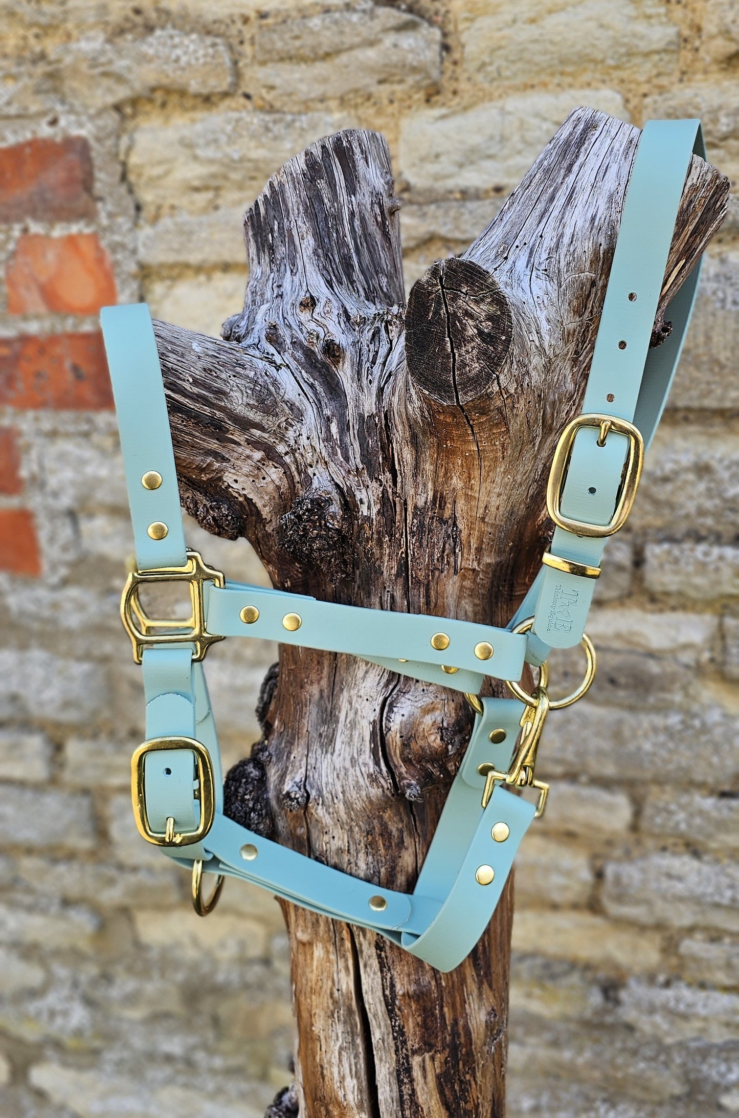 Sage - Premium BioThane® waterproof Horse Halter