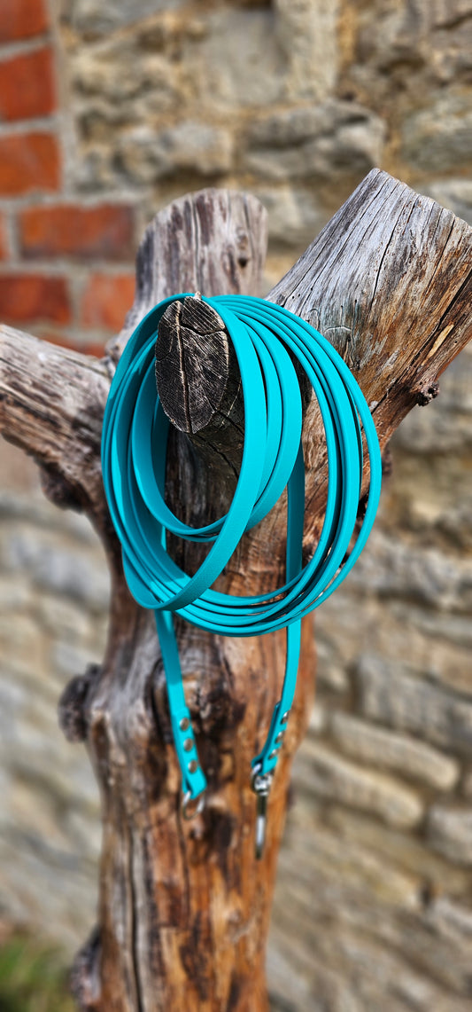 Pastel Green - Waterproof Webbing Horse Lunge Lines