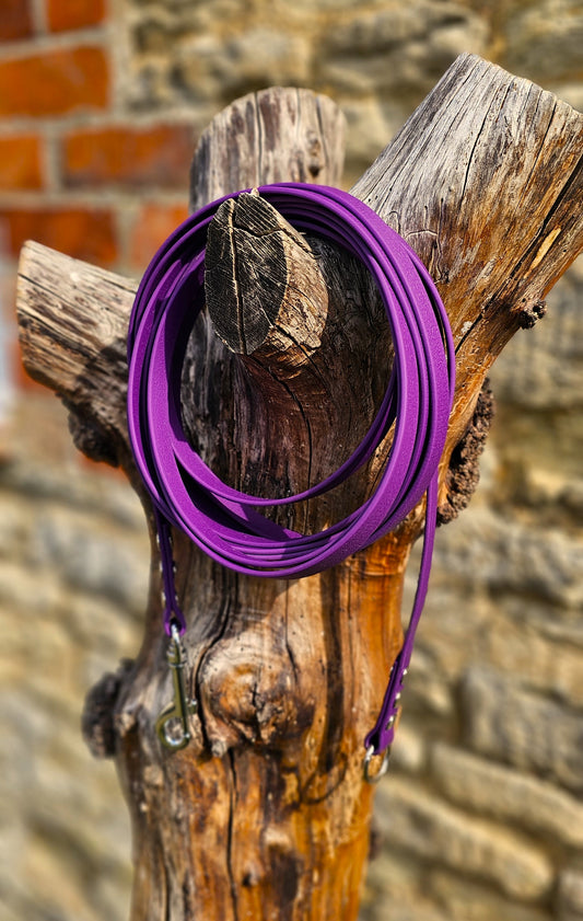 Warm Purple - Waterproof Webbing Horse Lunge Lines