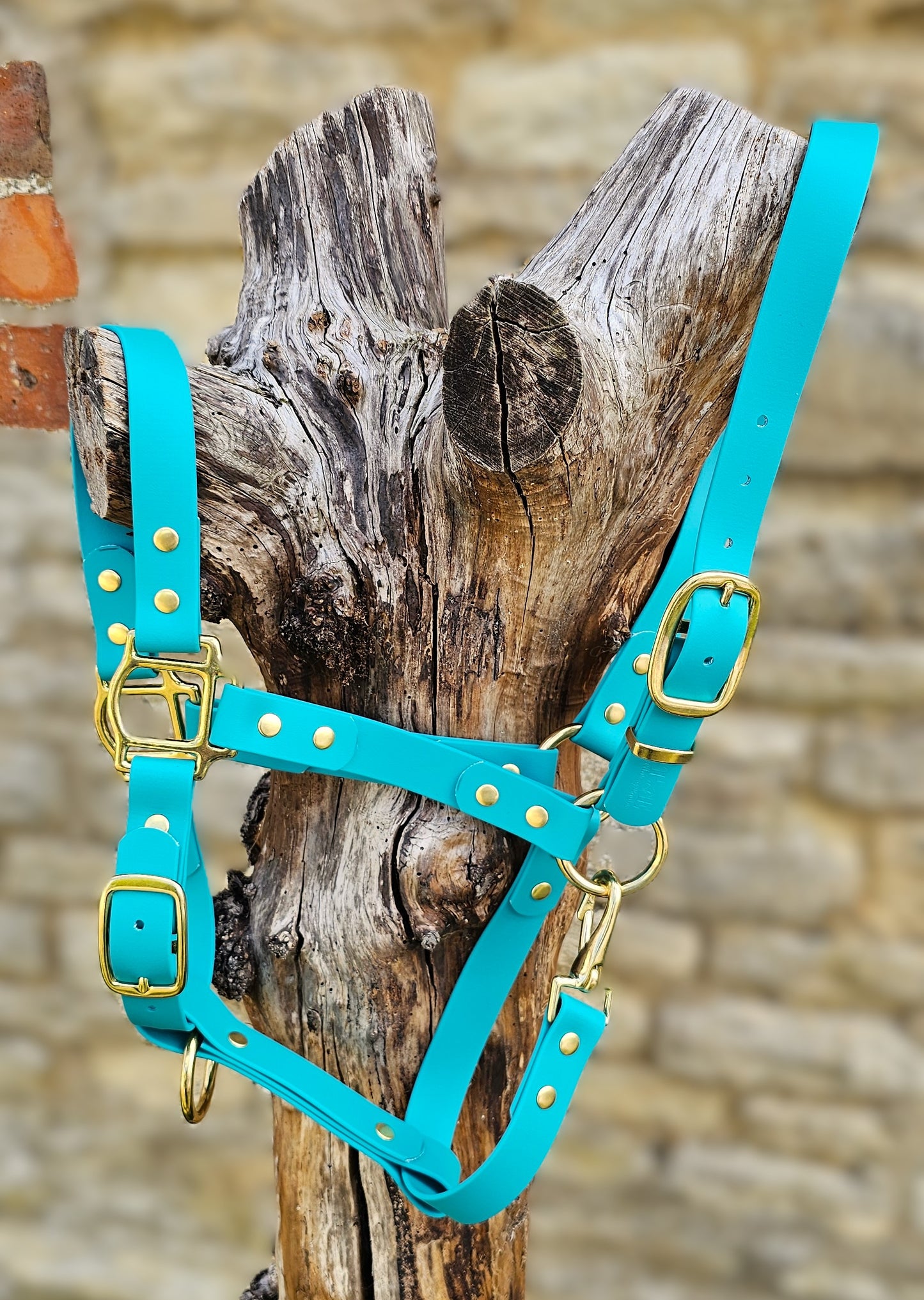 Teal - Premium BioThane® waterproof Horse Halter
