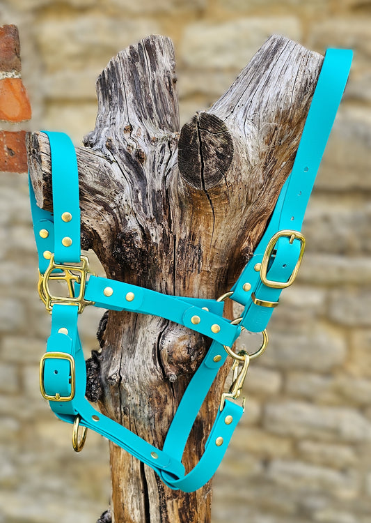 Teal - Premium BioThane® waterproof Horse Halter