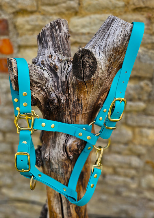 Teal - Premium BioThane® waterproof Horse Halter