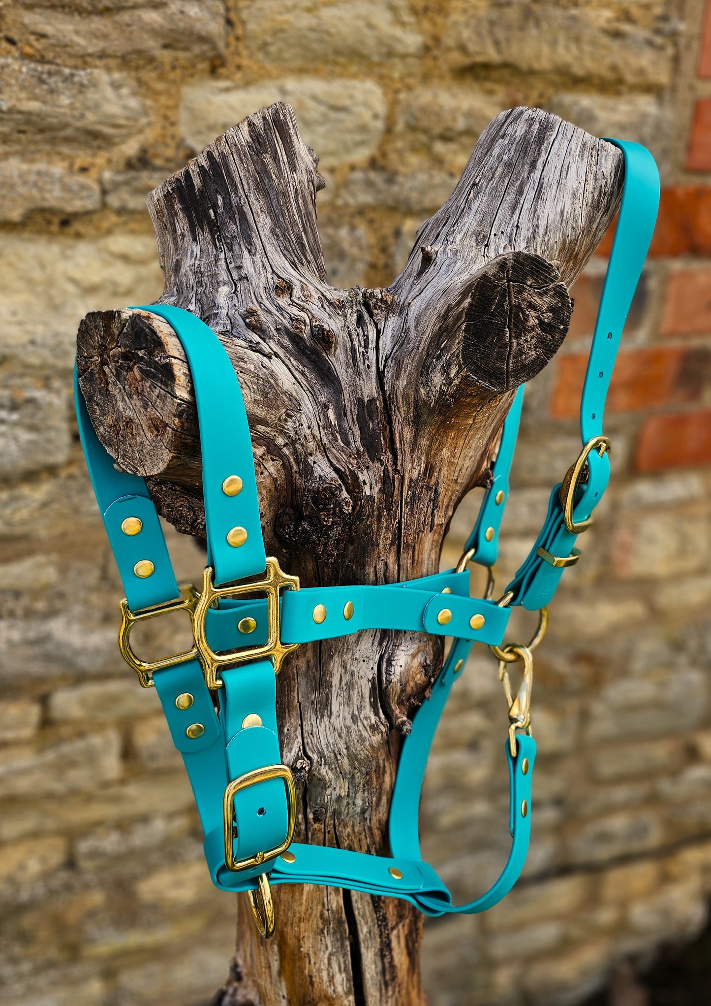 Teal - Premium BioThane® waterproof Horse Halter