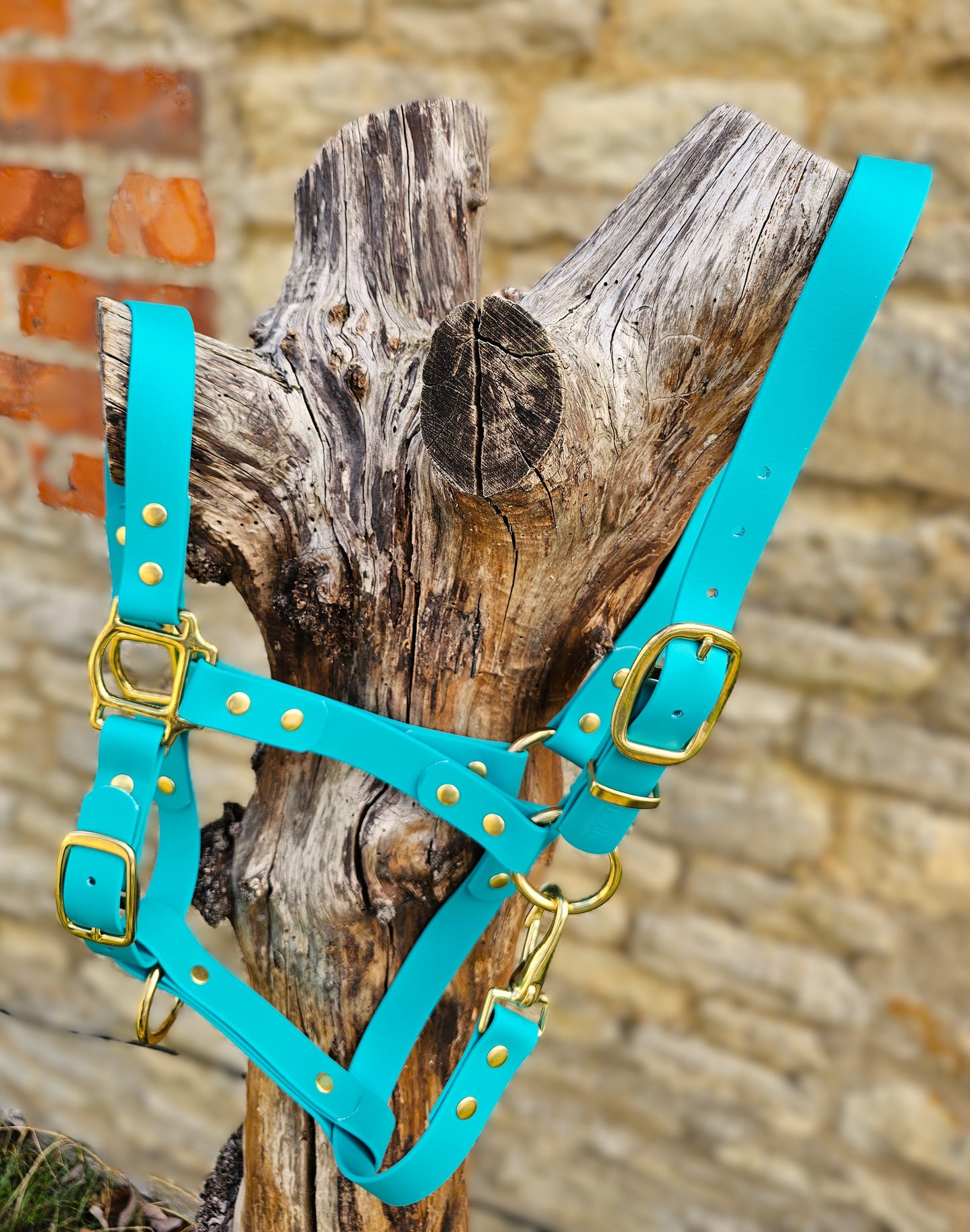 Teal - Premium BioThane® waterproof Horse Halter
