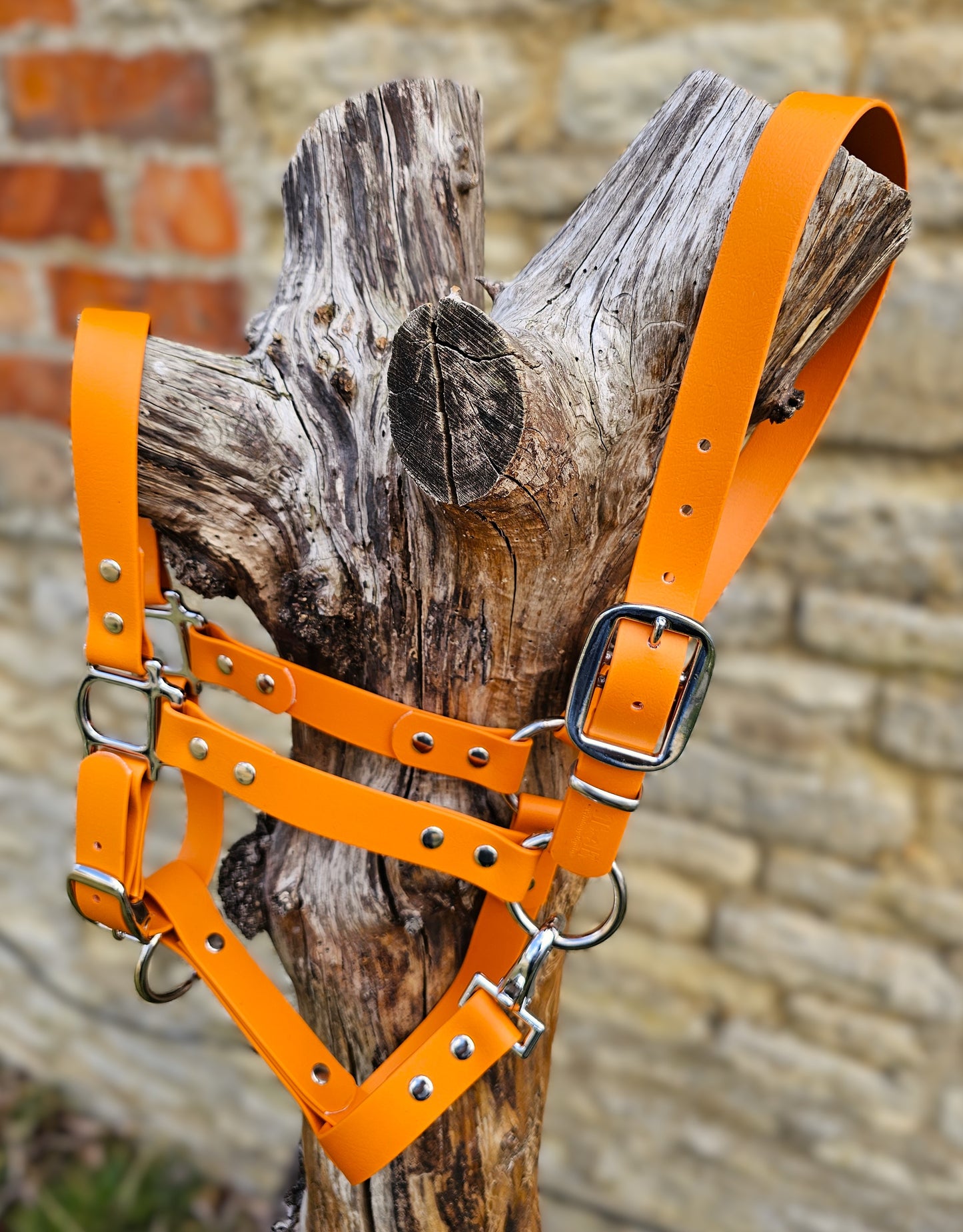 Burnt Orange - Classic BioThane® waterproof Horse Halter
