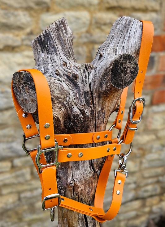 Burnt Orange - Classic BioThane® waterproof Horse Halter