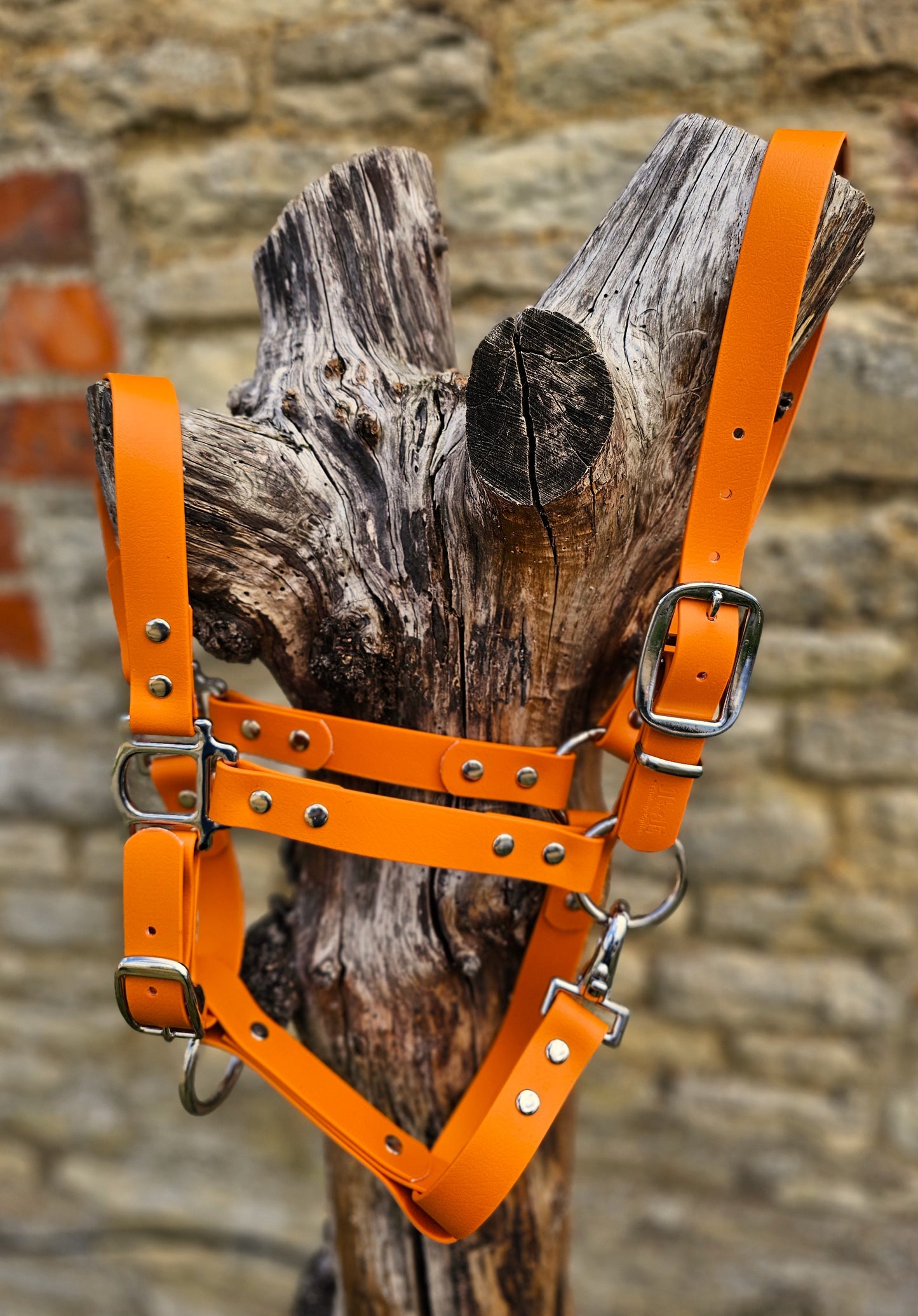 Burnt Orange - Classic BioThane® waterproof Horse Halter