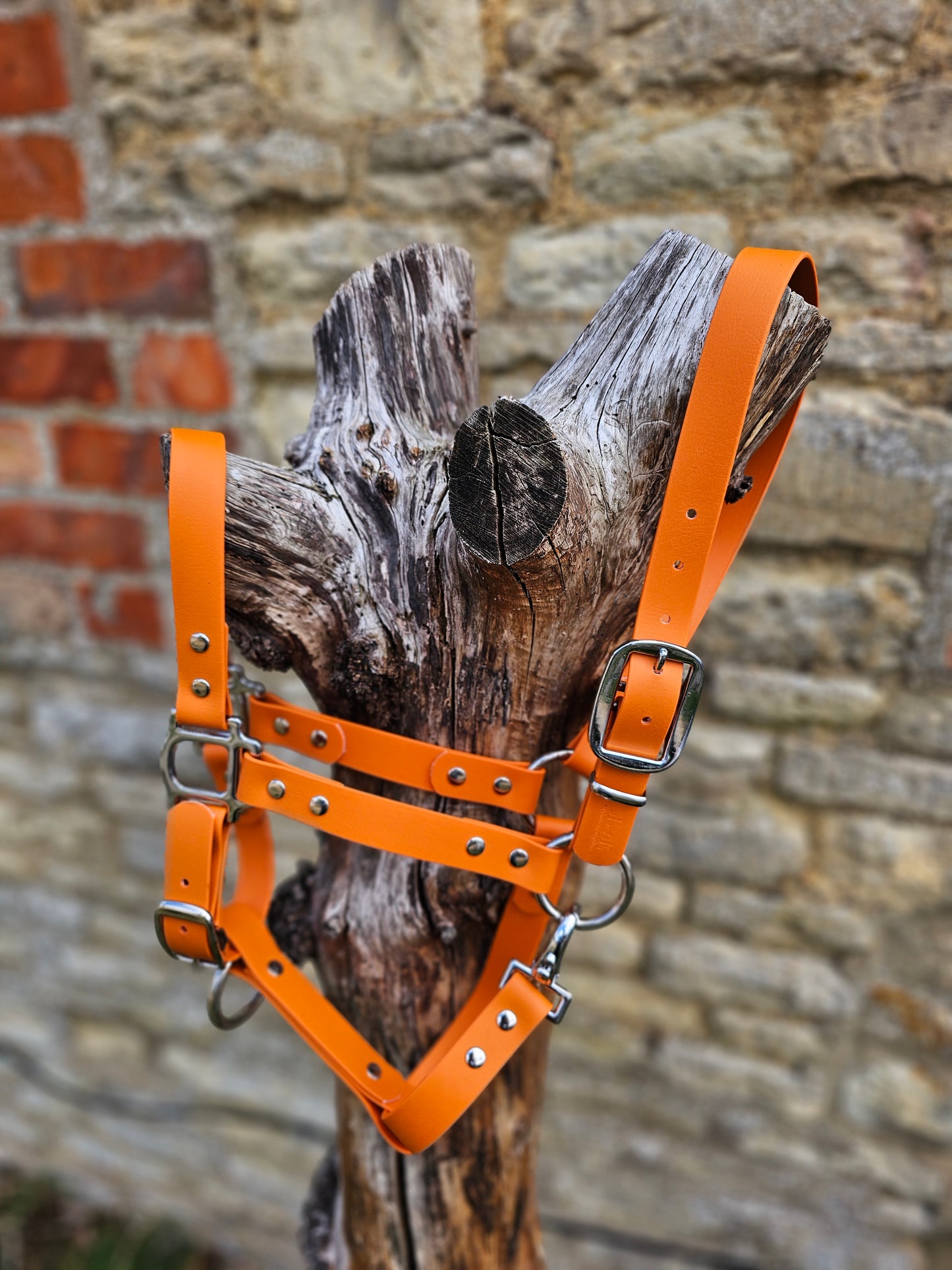 Burnt Orange - Classic BioThane® waterproof Horse Halter