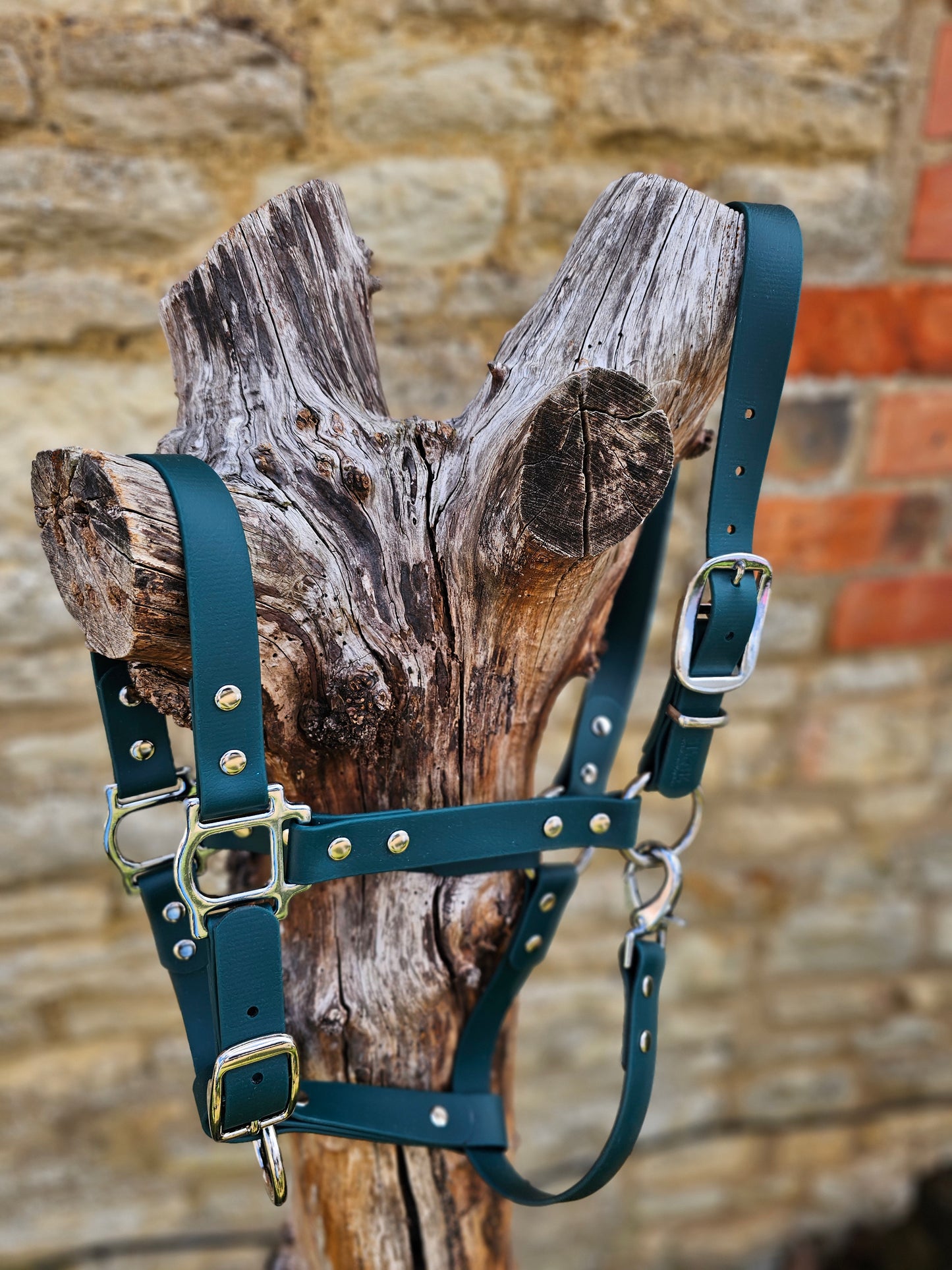 Dark Green - Classic BioThane® waterproof Horse Halter