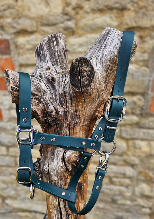 Dark Green - Classic BioThane® waterproof Horse Halter