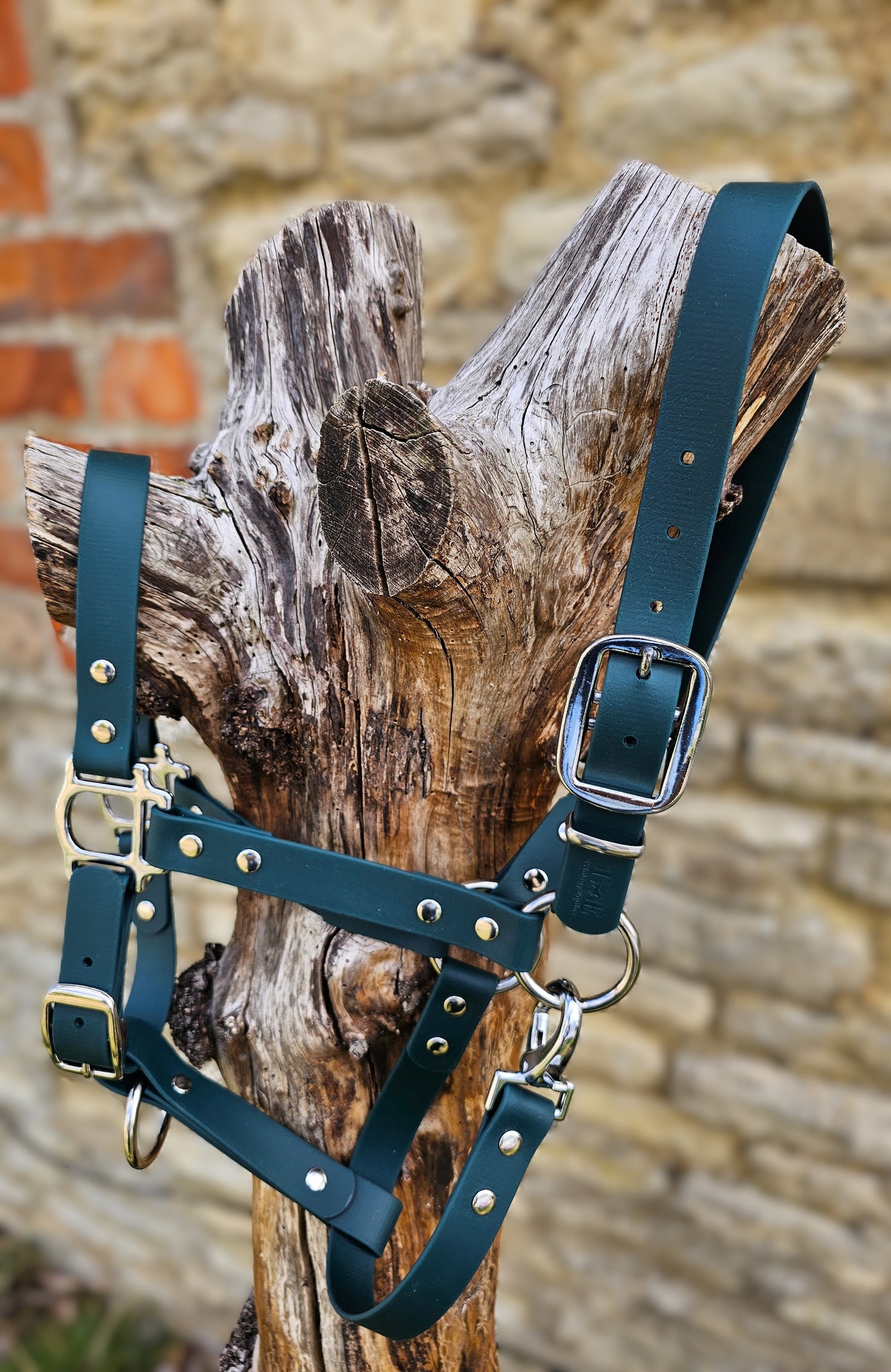 Dark Green - Classic BioThane® waterproof Horse Halter