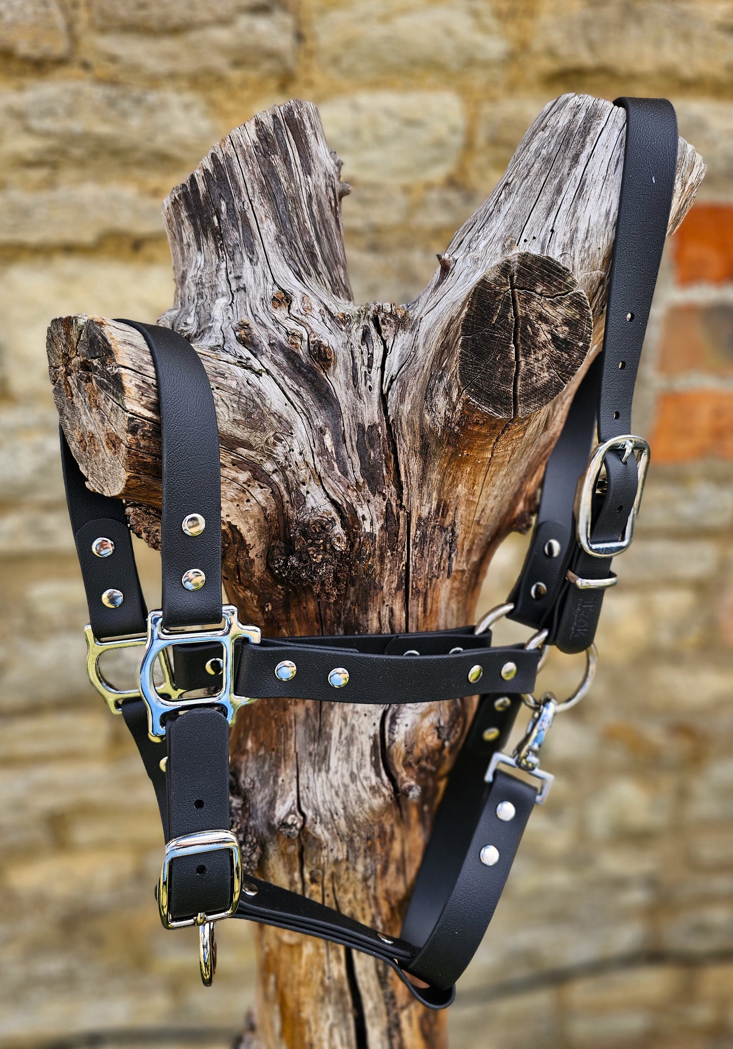 Black - Classic BioThane® waterproof Horse Halter