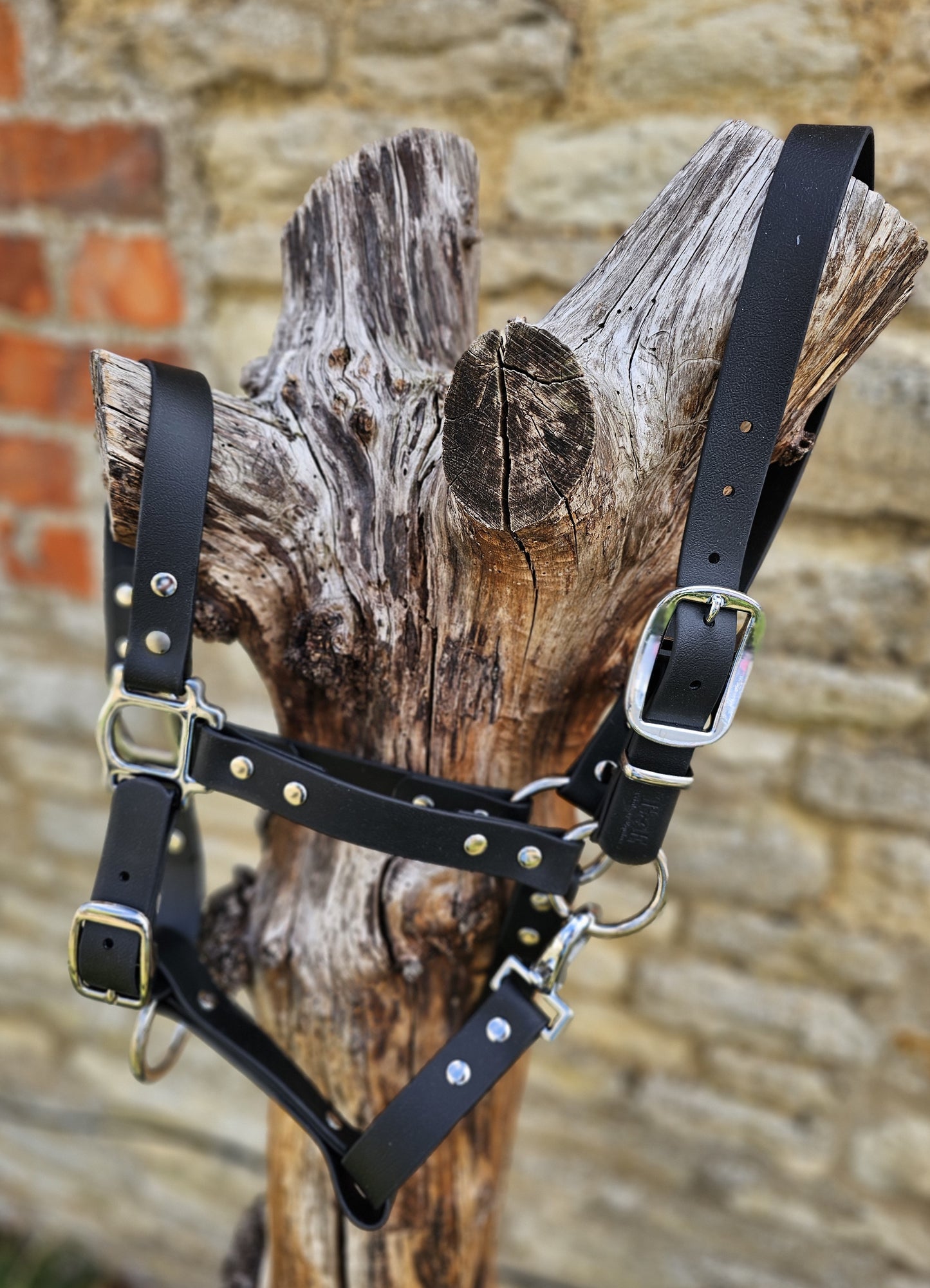 Black - Classic BioThane® waterproof Horse Halter