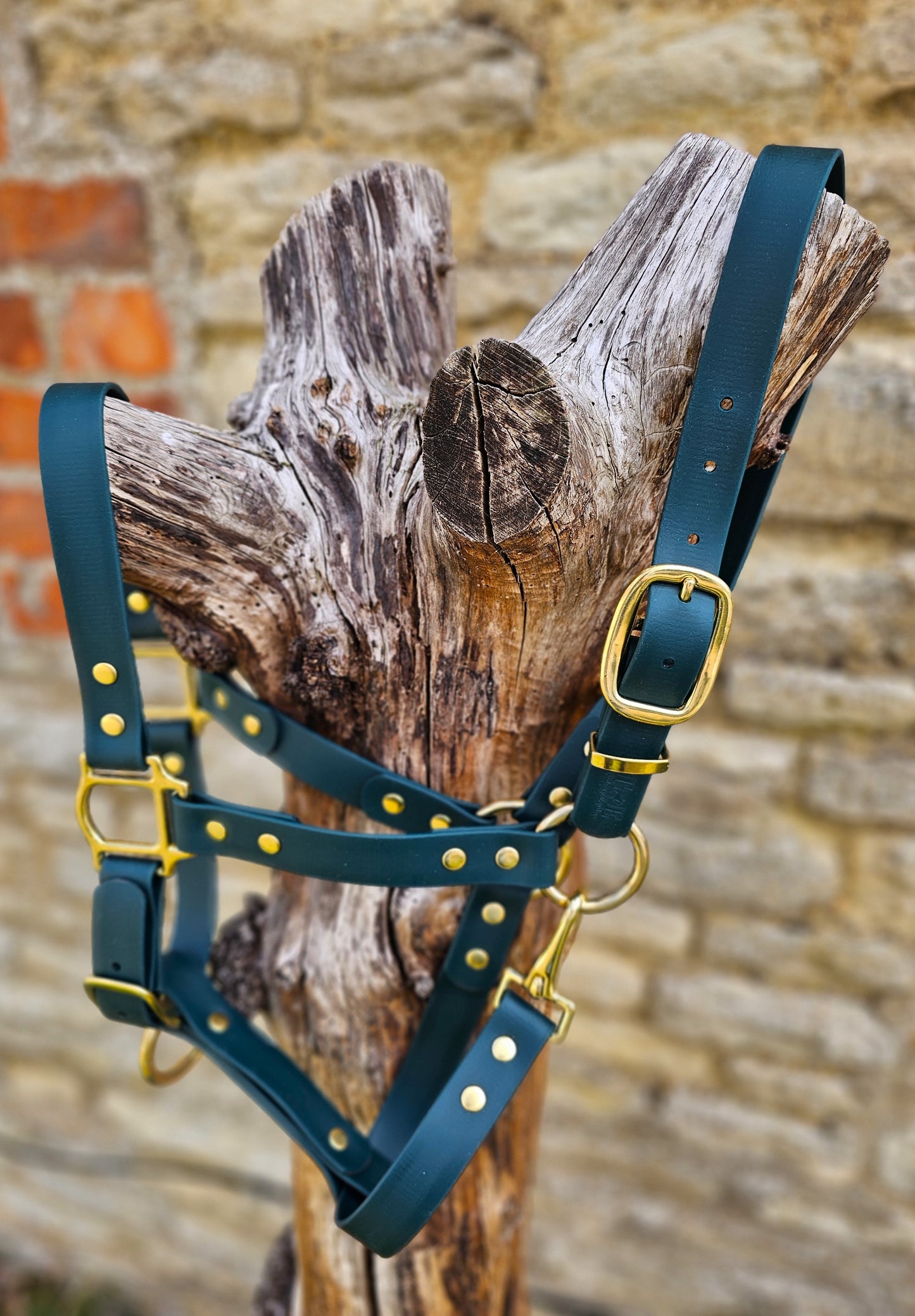 Dark Green - Premium BioThane® waterproof Horse Halter