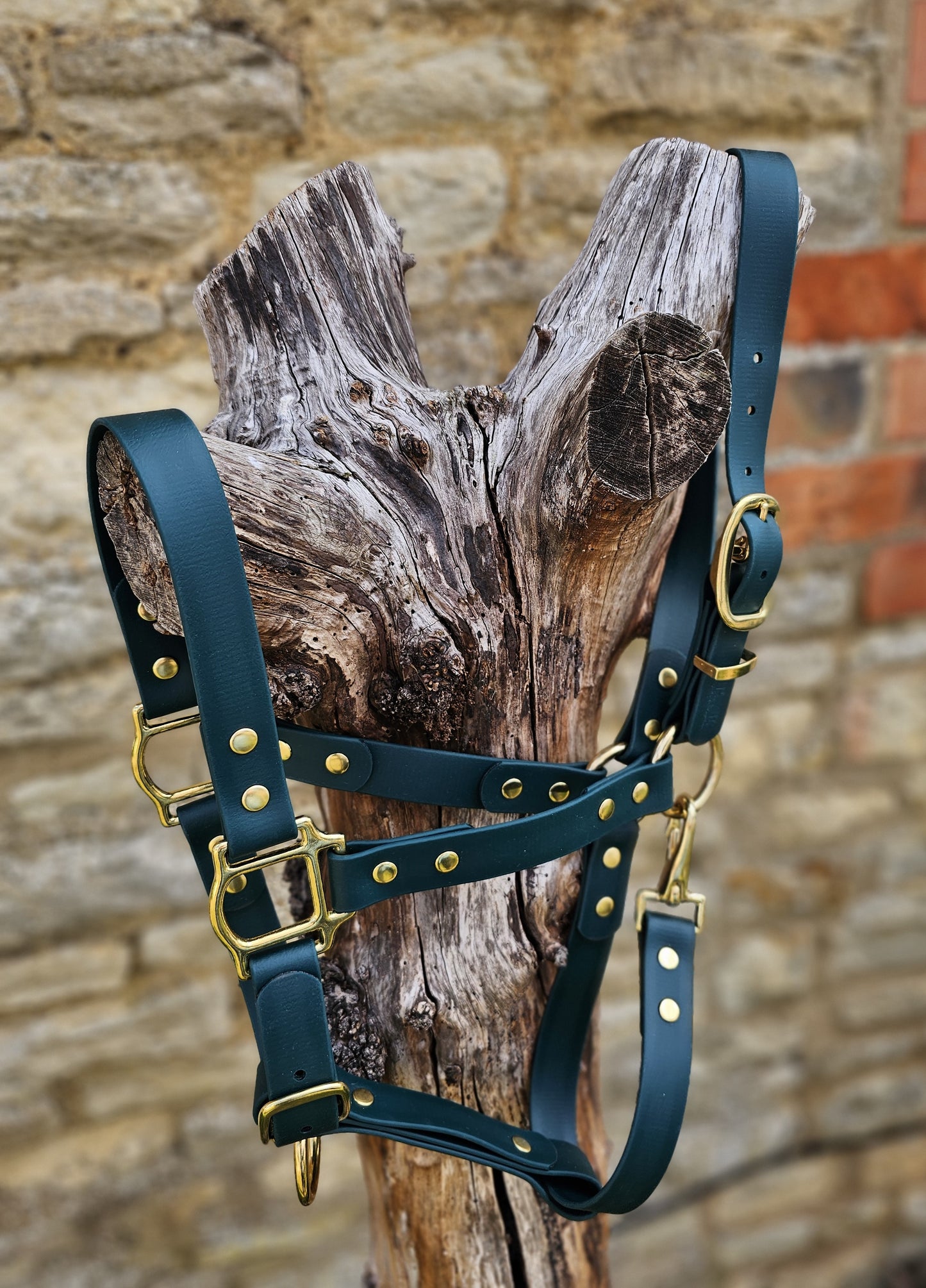 Dark Green - Premium BioThane® waterproof Horse Halter