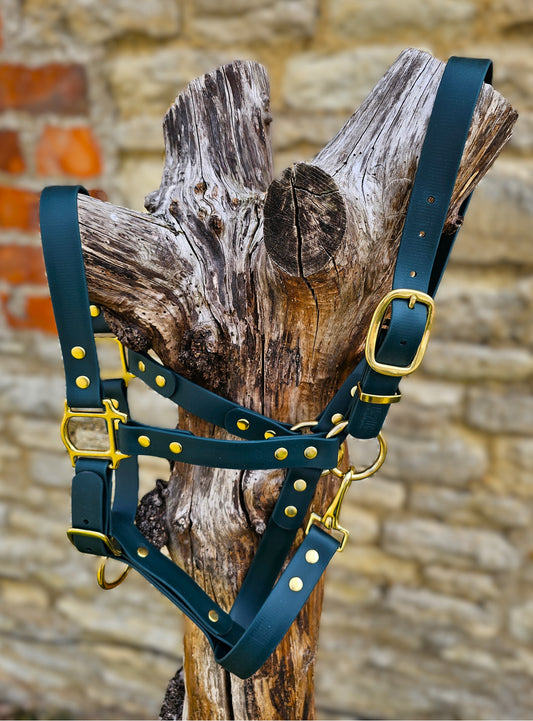 Dark Green - Premium BioThane® waterproof Horse Halter