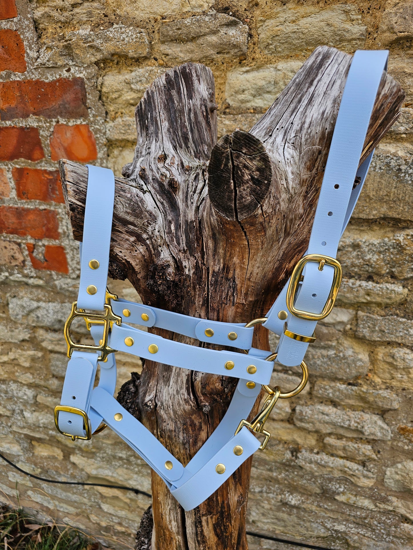 Baby Blue - Premium BioThane® waterproof Horse Halter