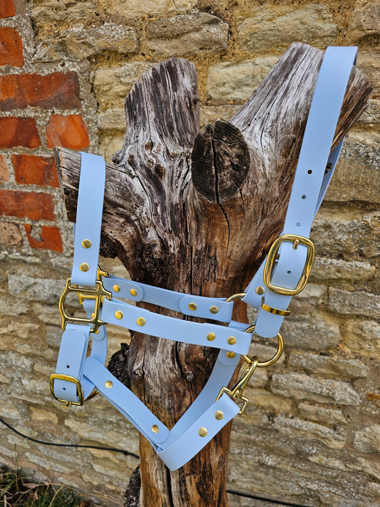 Baby Blue - Premium BioThane® waterproof Horse Halter