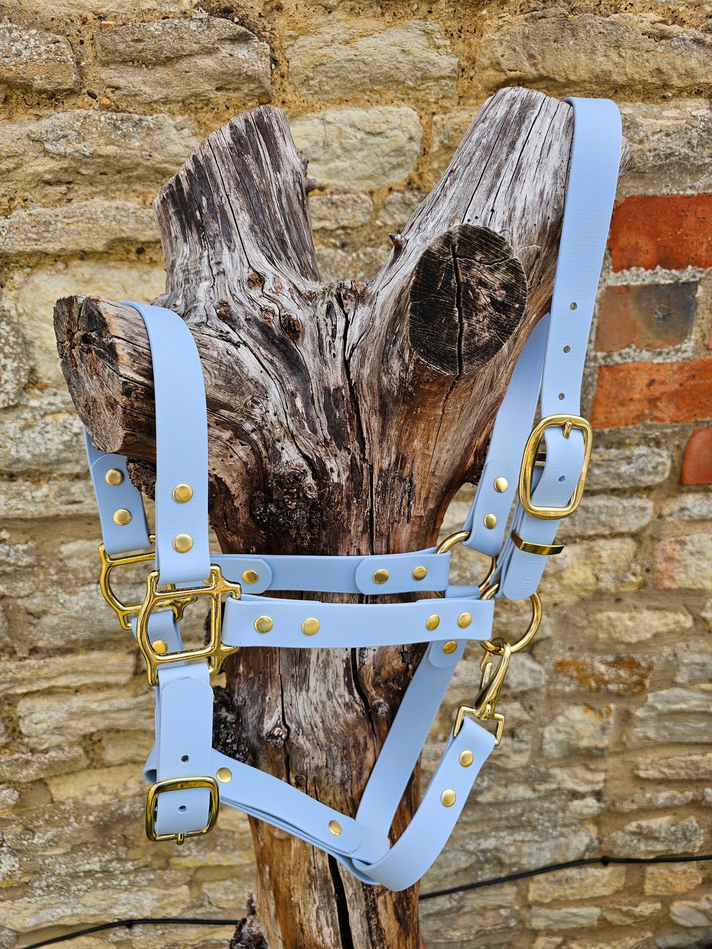 Baby Blue - Premium BioThane® waterproof Horse Halter