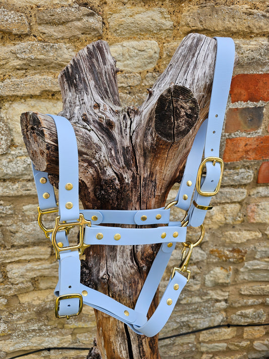 Baby Blue - Premium BioThane® waterproof Horse Halter