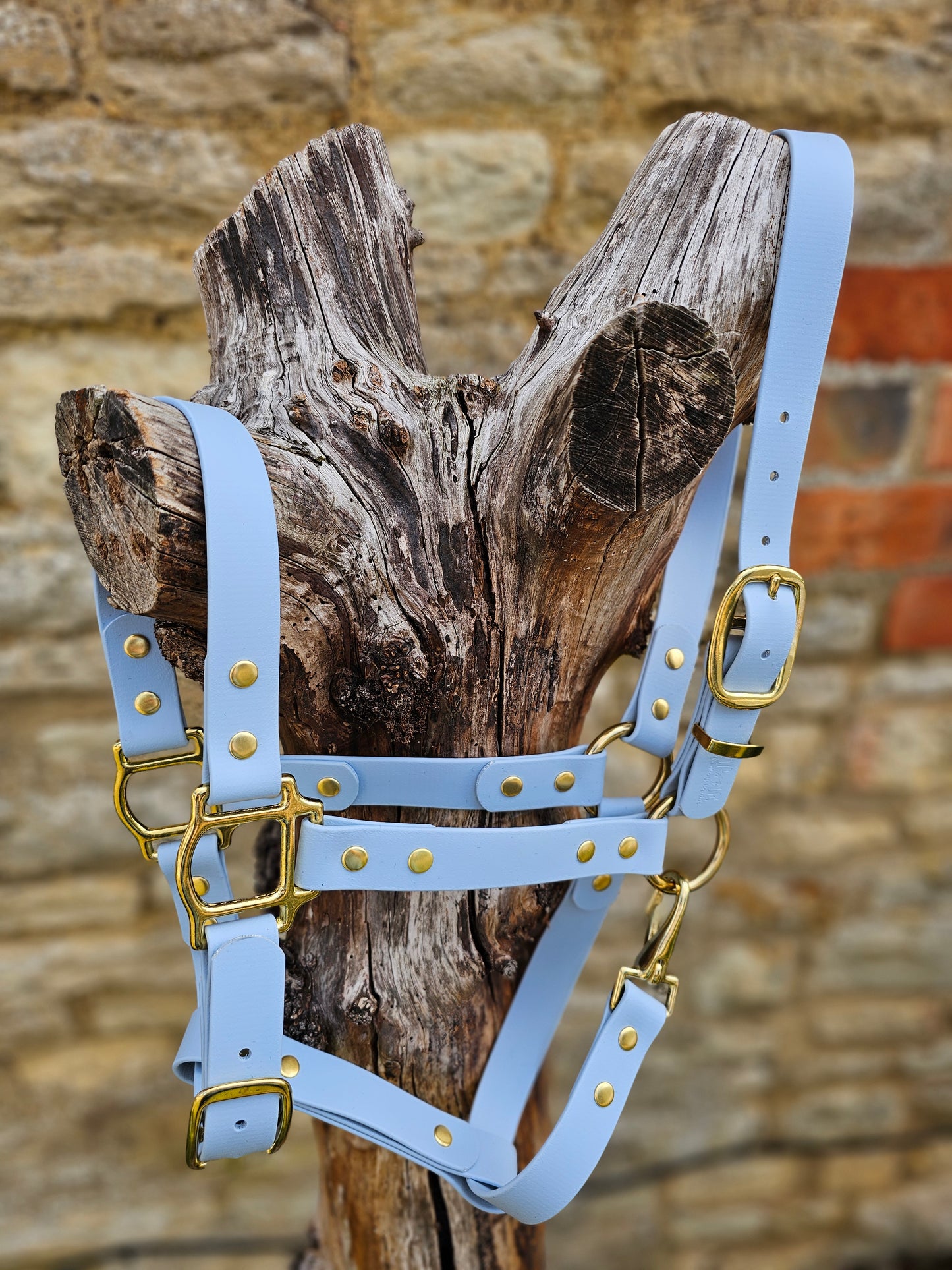 Baby Blue - Premium BioThane® waterproof Horse Halter