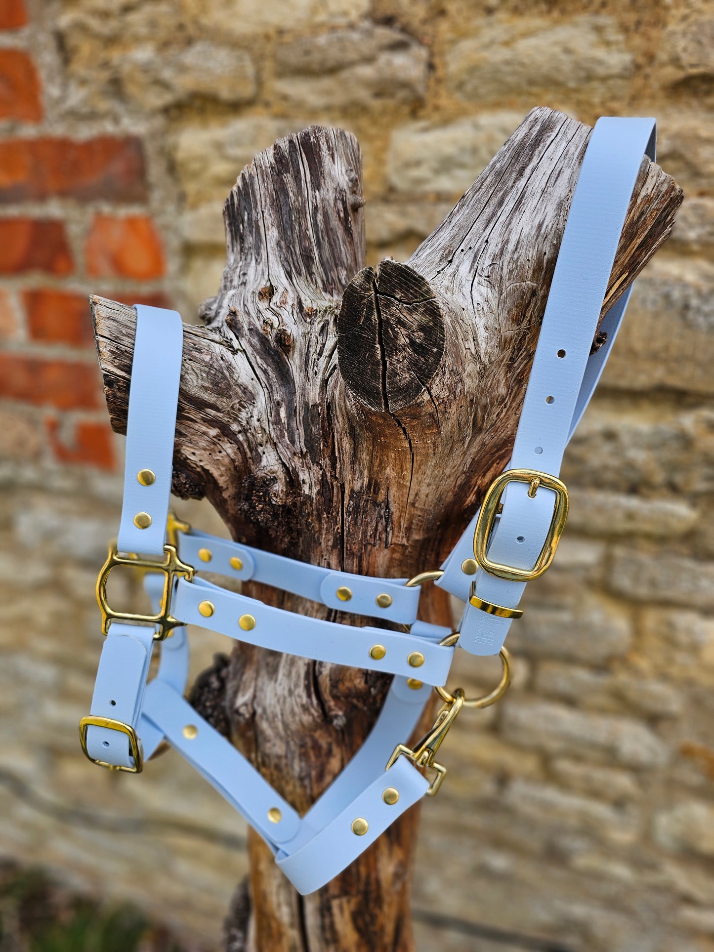 Baby Blue - Premium BioThane® waterproof Horse Halter