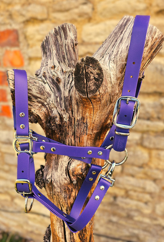 Purple - Classic BioThane® waterproof Horse Halter