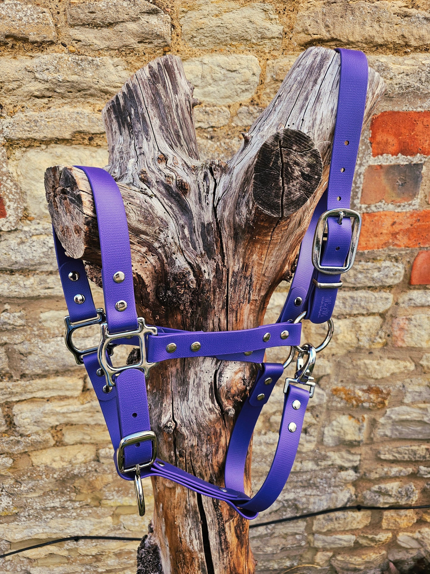 Purple - Classic BioThane® waterproof Horse Halter