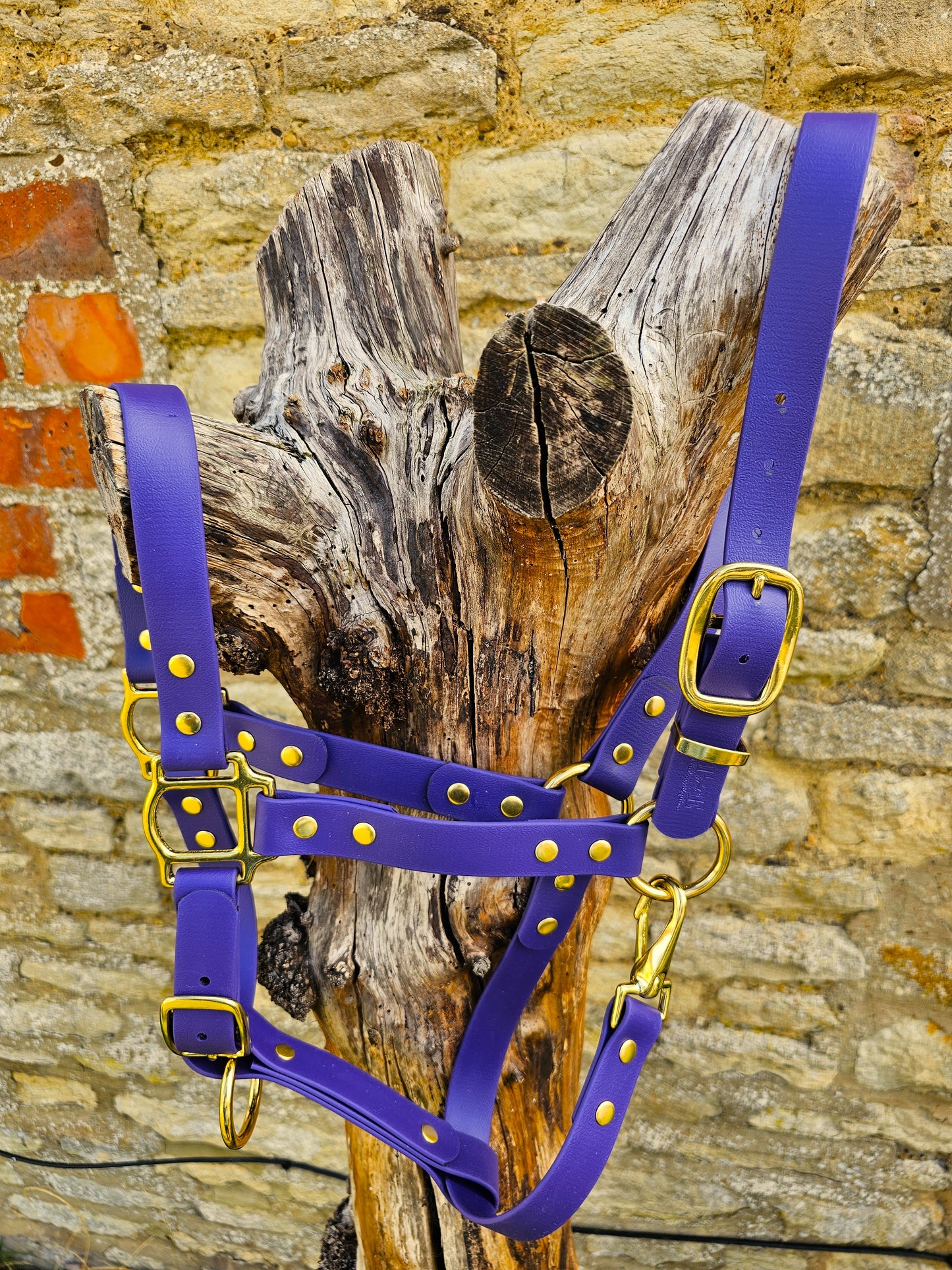 Purple - Premium BioThane® waterproof Horse Halter