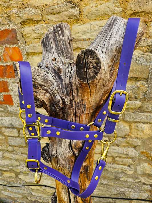 Purple - Premium BioThane® waterproof Horse Halter