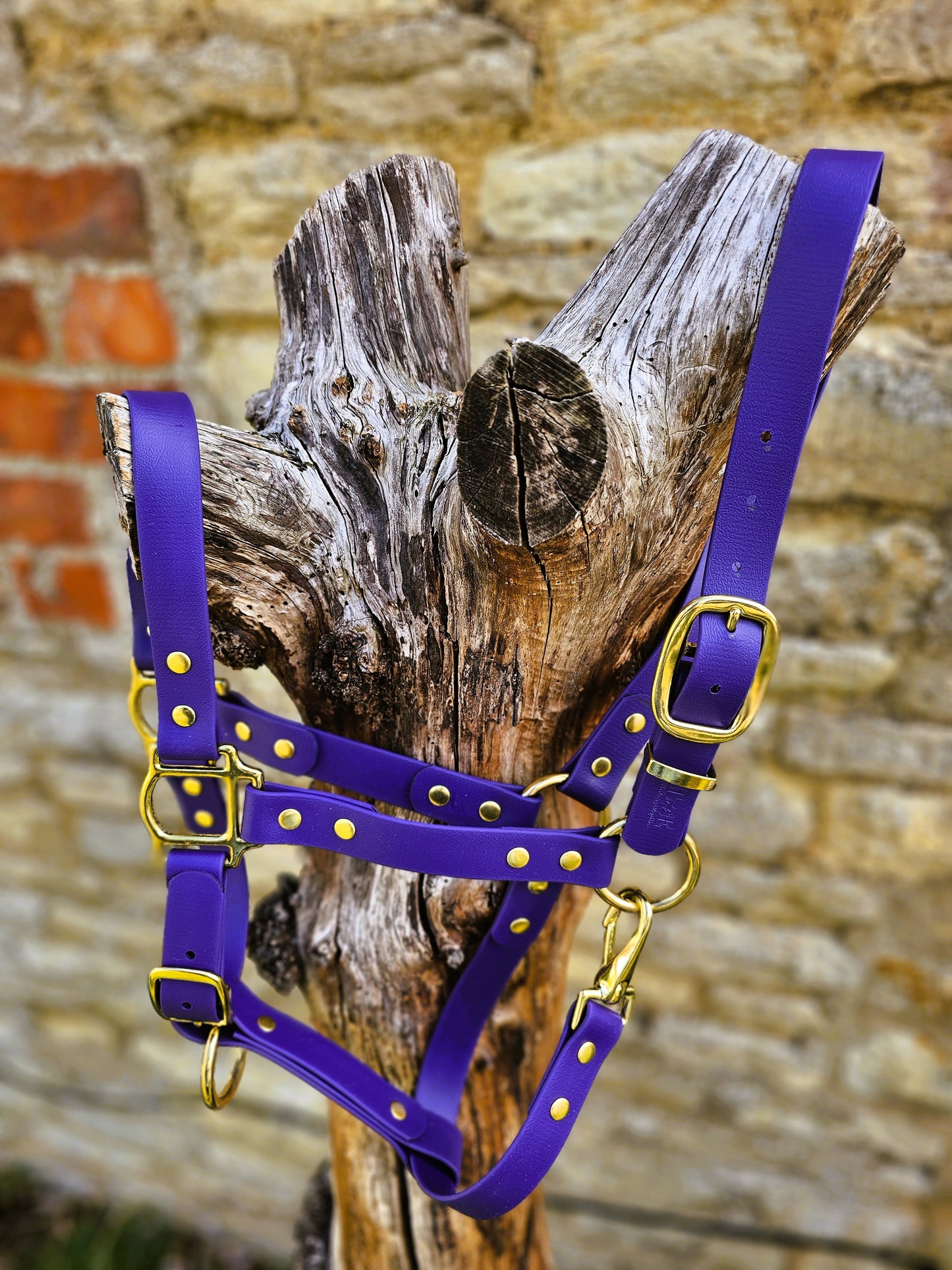 Purple - Premium BioThane® waterproof Horse Halter