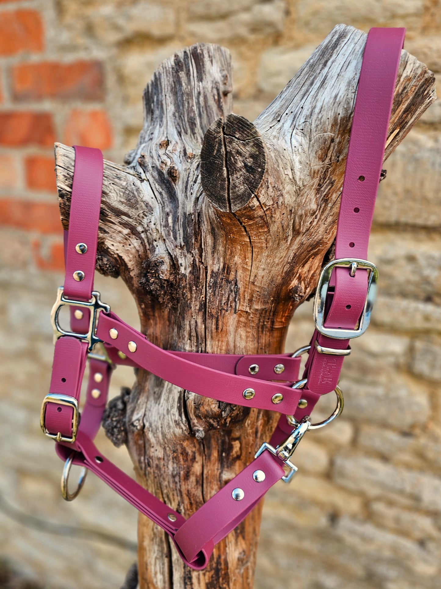 Burgundy - Classic BioThane® waterproof Horse Halter
