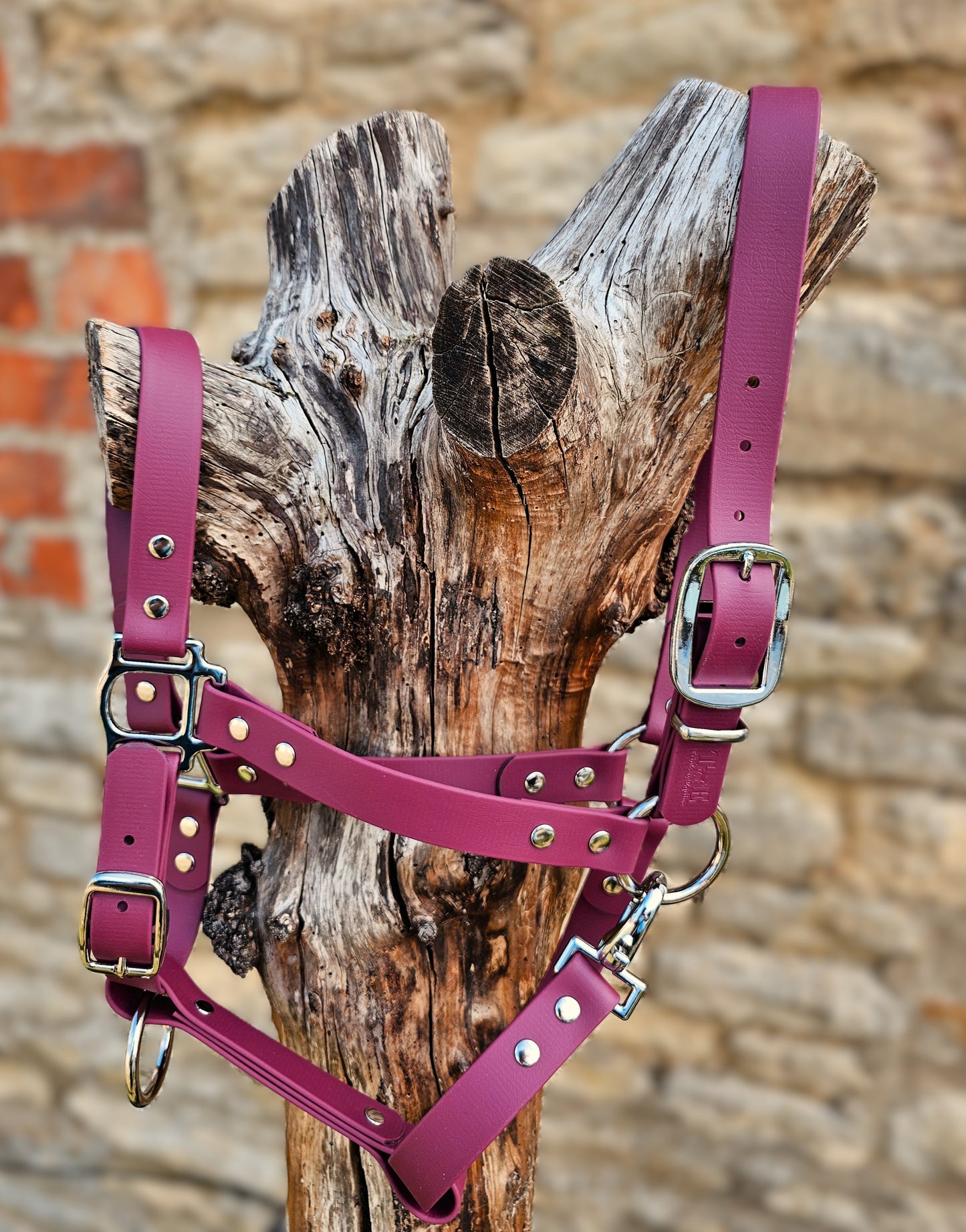 Burgundy - Classic BioThane® waterproof Horse Halter