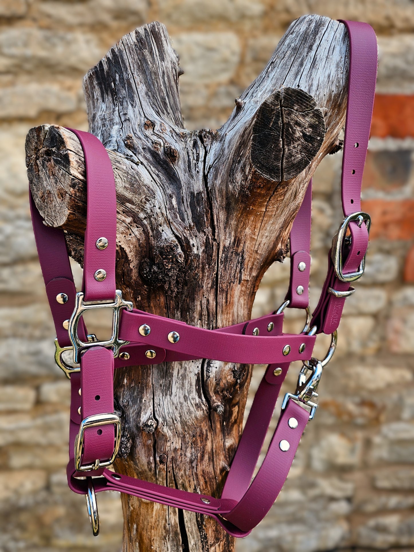 Burgundy - Classic BioThane® waterproof Horse Halter