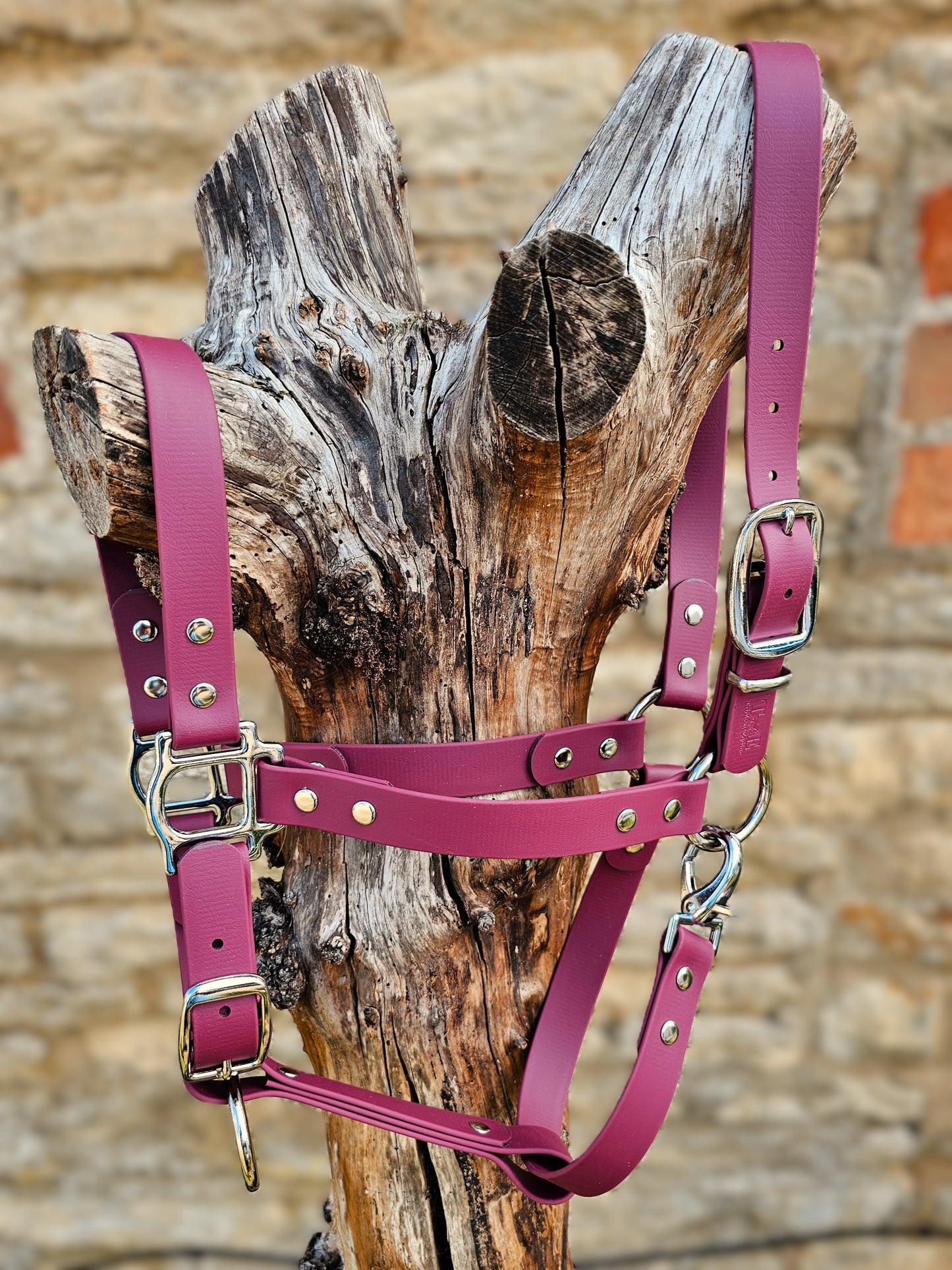 Burgundy - Classic BioThane® waterproof Horse Halter