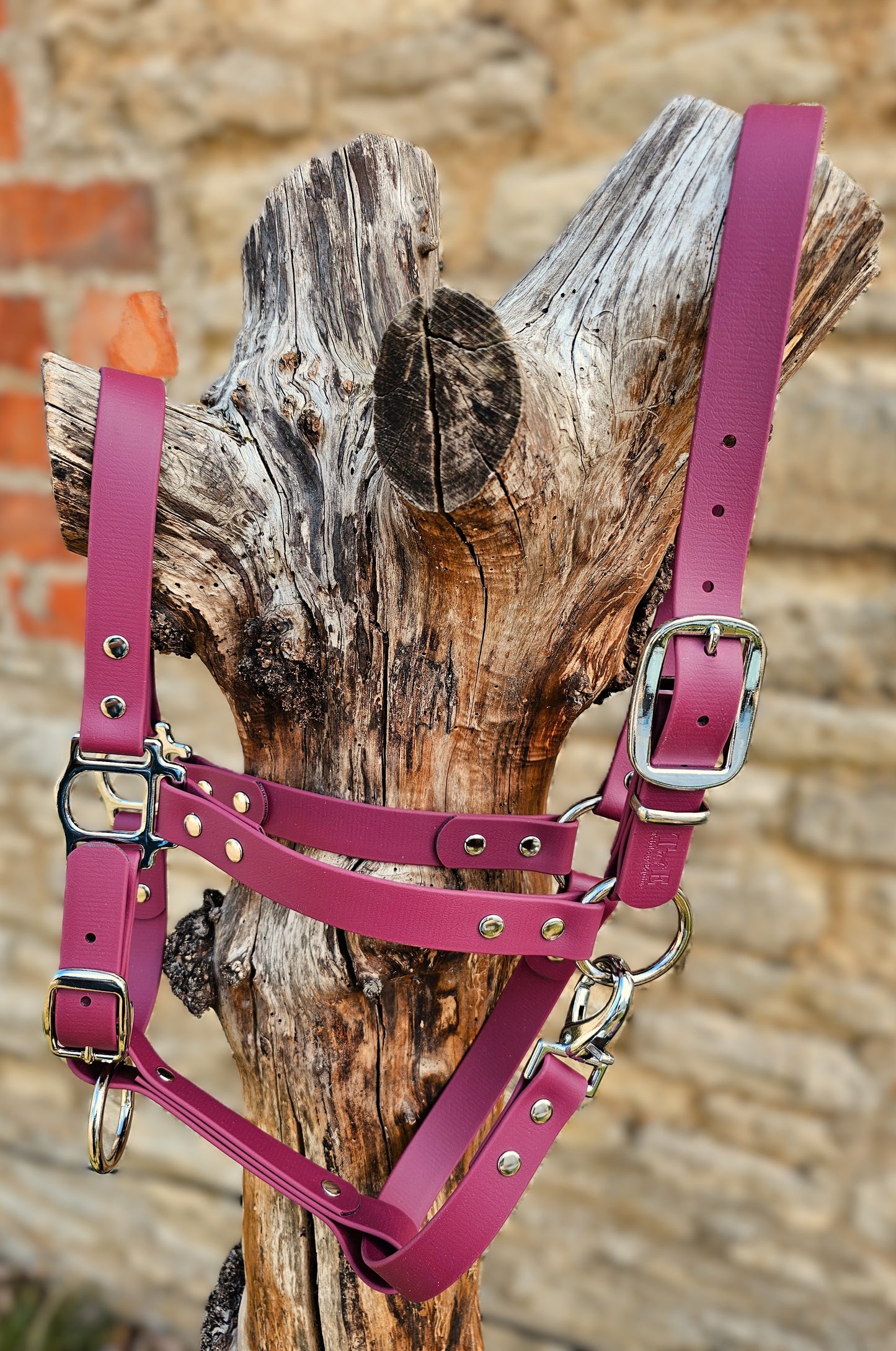 Burgundy - Classic BioThane® waterproof Horse Halter