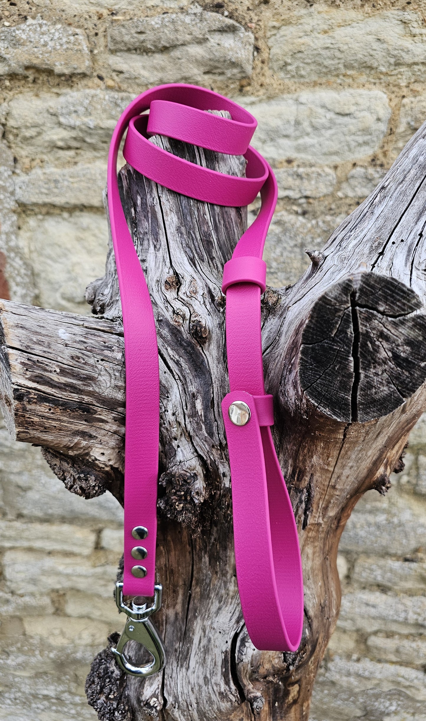 Magenta - Waterproof BioThane® Break-Away Lead Line