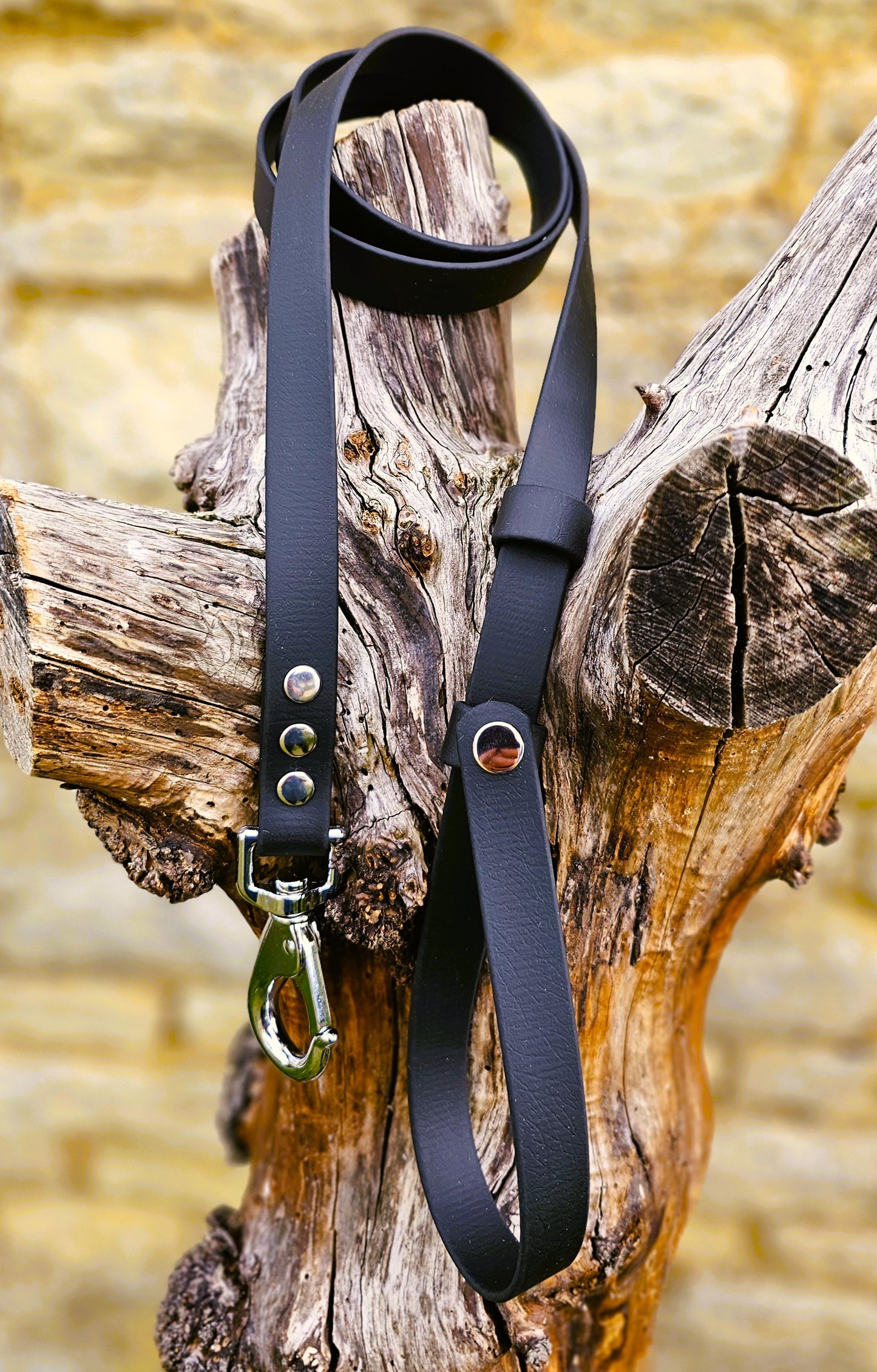 Black - Waterproof BioThane® Break-Away Lead Line