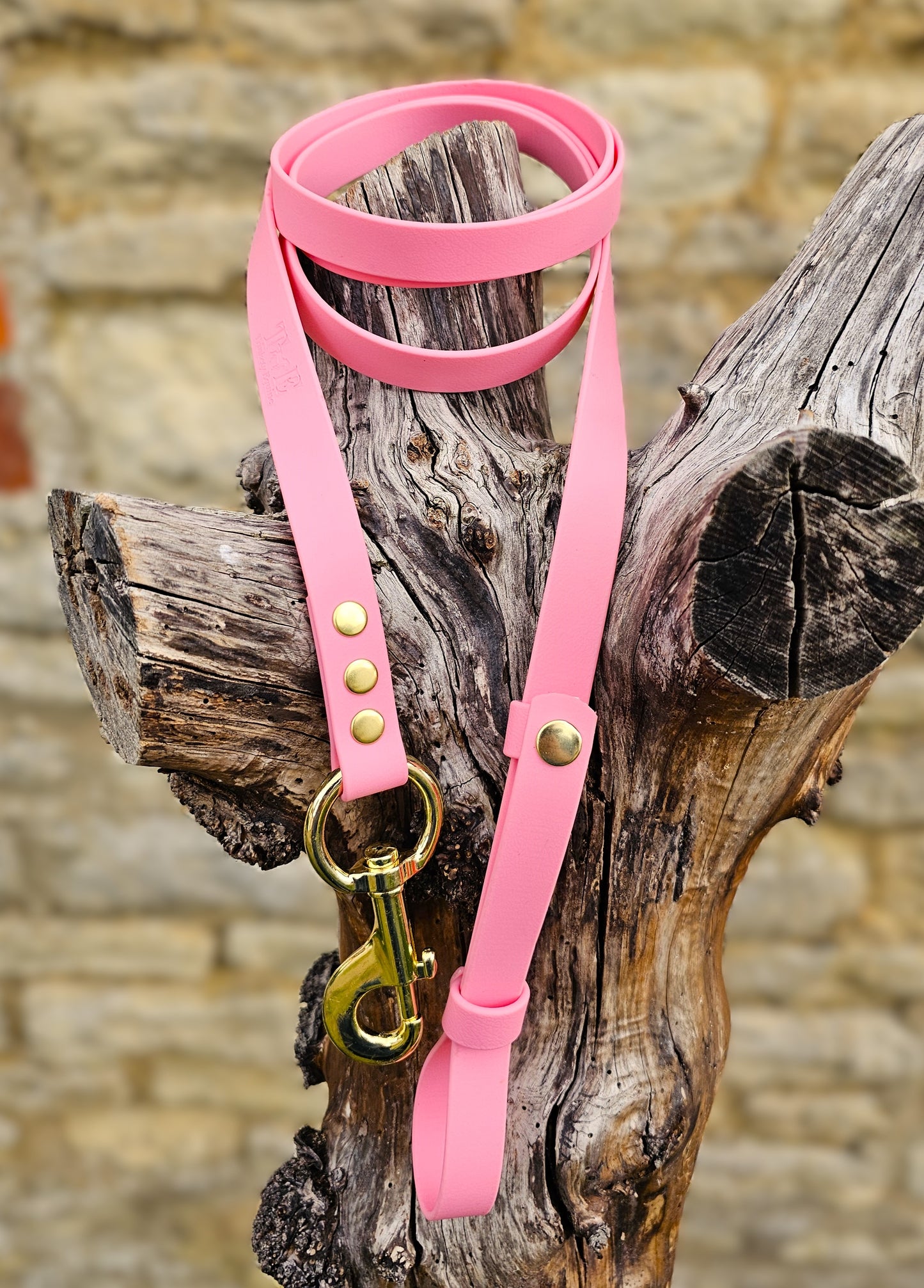 Baby Pink - Waterproof BioThane® Break-Away Lead Line