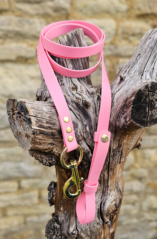 Baby Pink - Waterproof BioThane® Break-Away Lead Line
