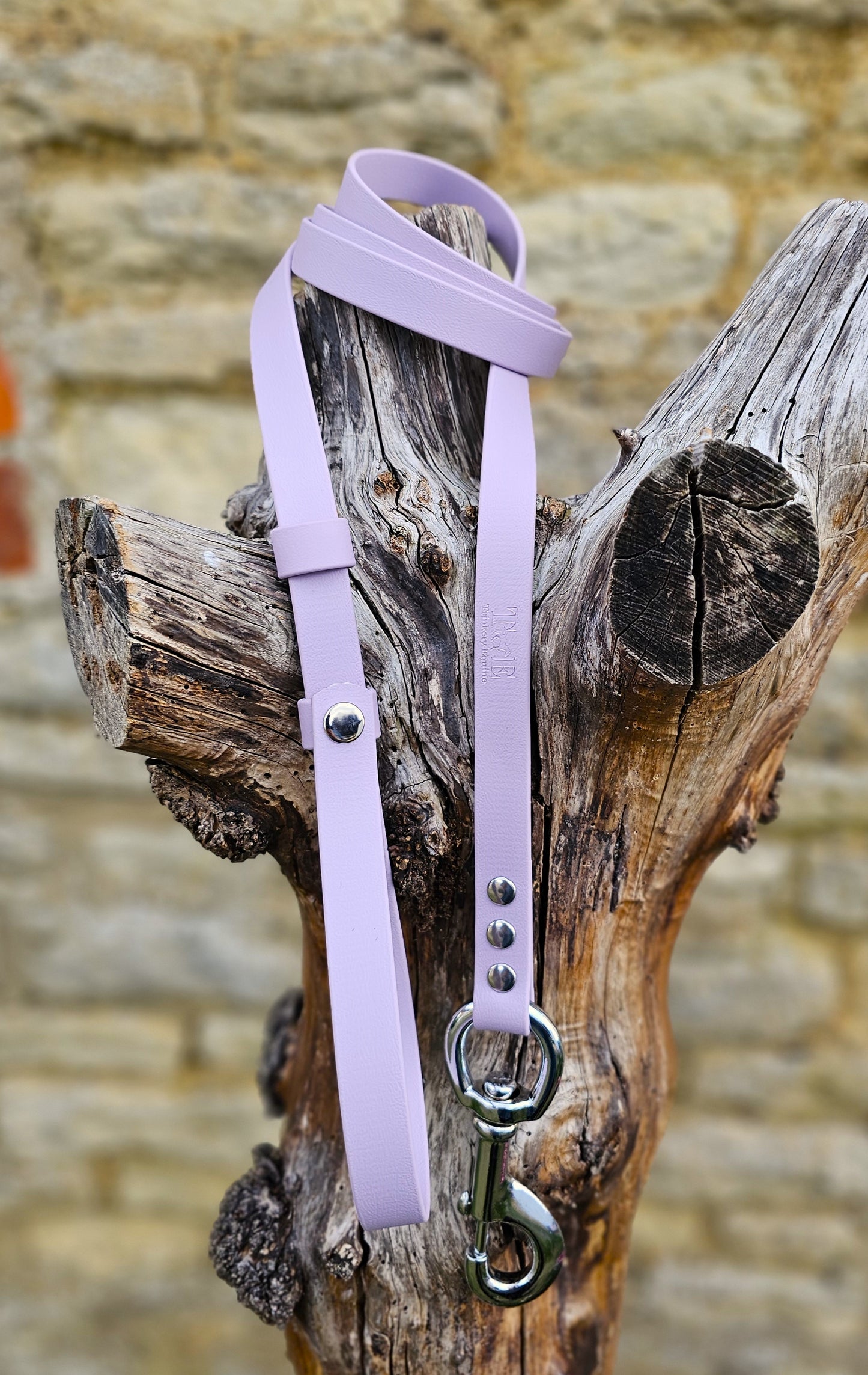 Lilac - Waterproof BioThane® Break-Away Lead Line