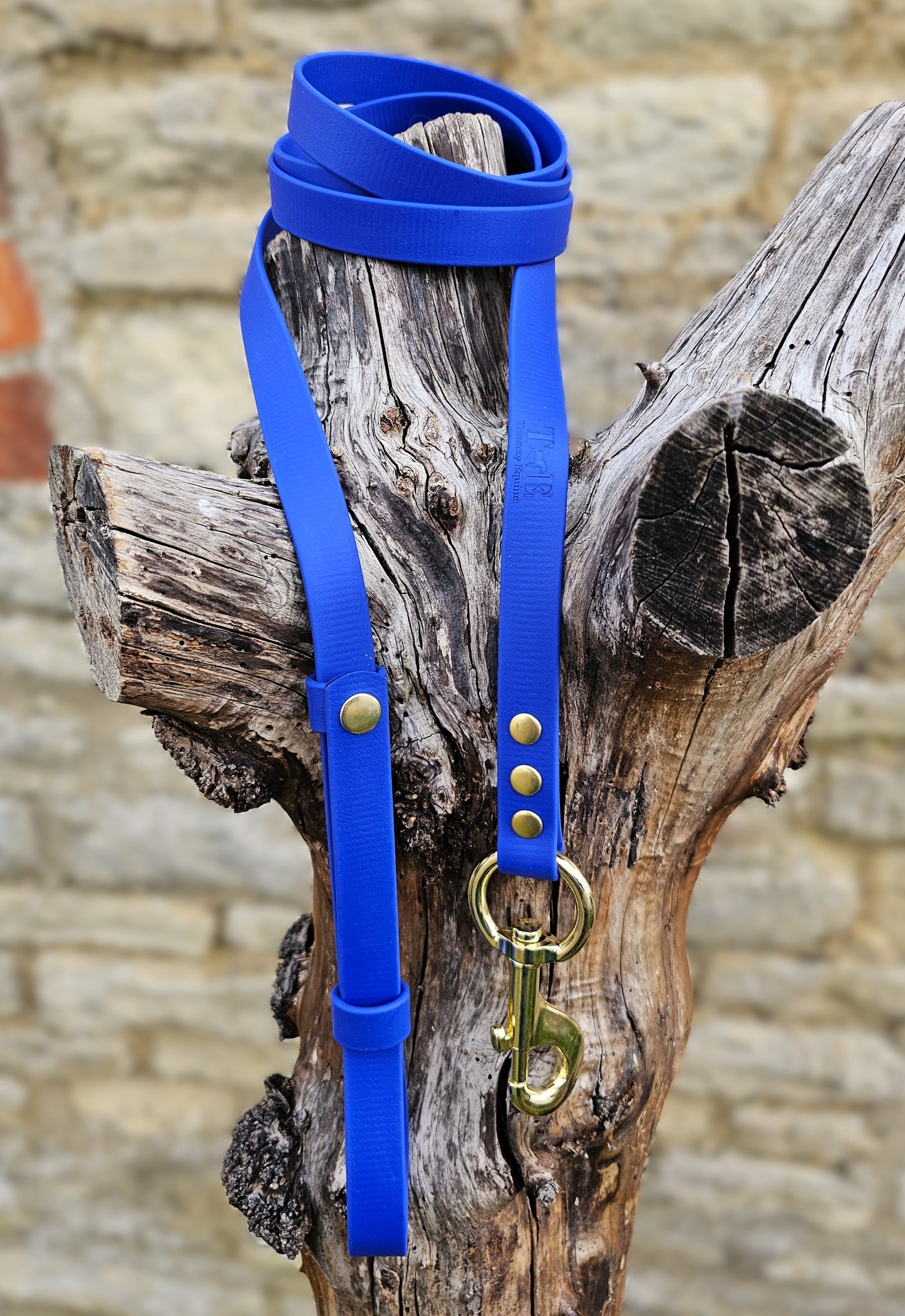 Royal Blue - Waterproof BioThane® Break-Away Lead Line