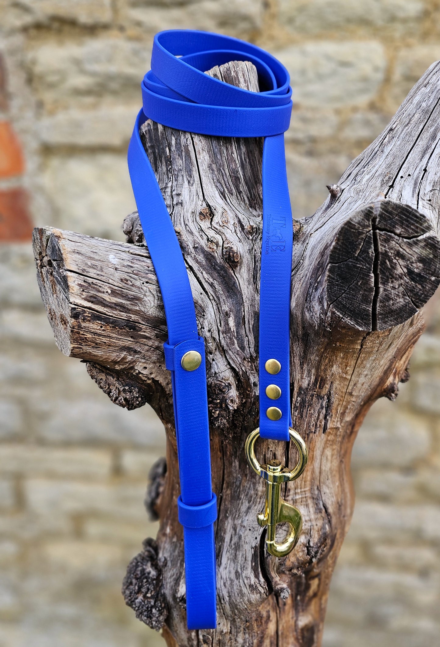 Royal Blue - Waterproof BioThane® Break-Away Lead Line