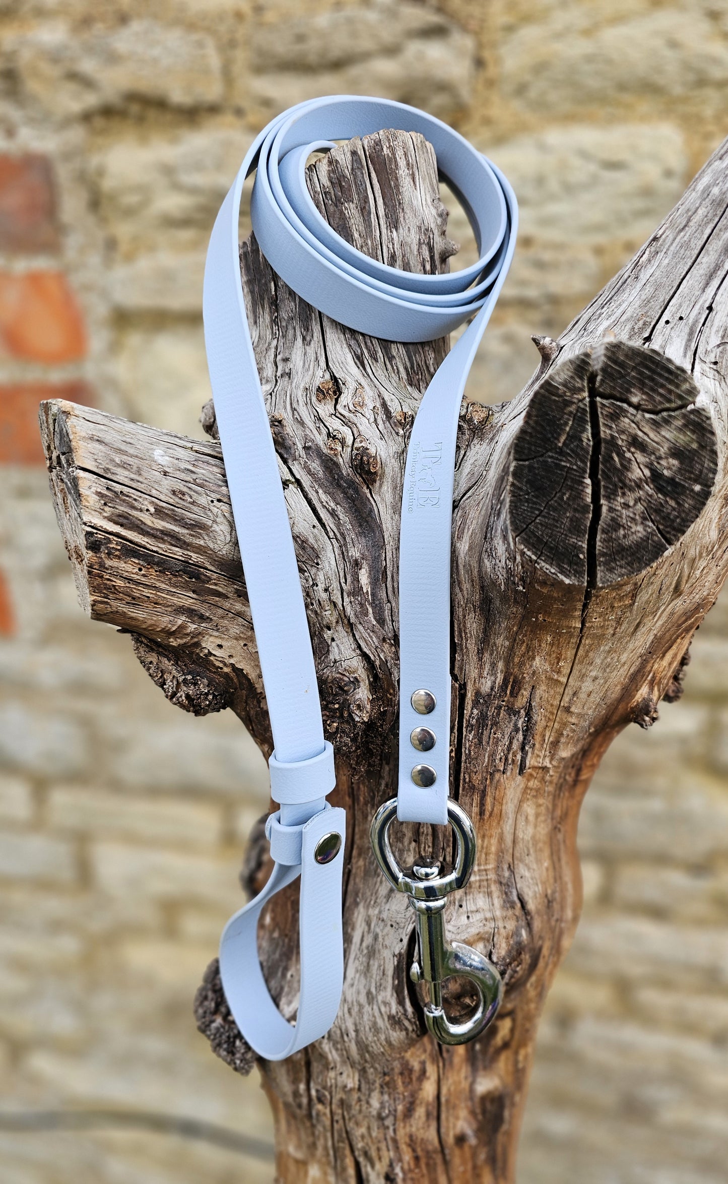 Baby Blue - Waterproof BioThane® Break-Away Lead Line