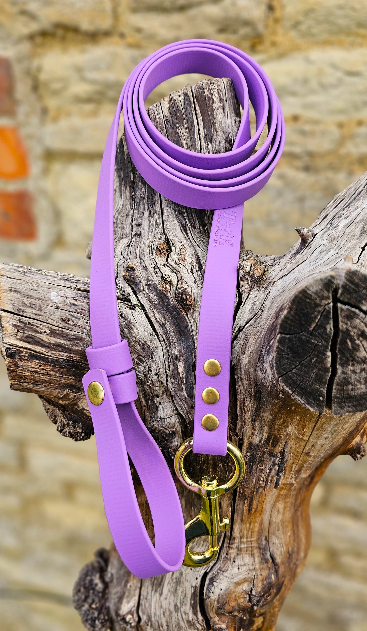 Amethyst- Waterproof BioThane® Break-Away Lead Line