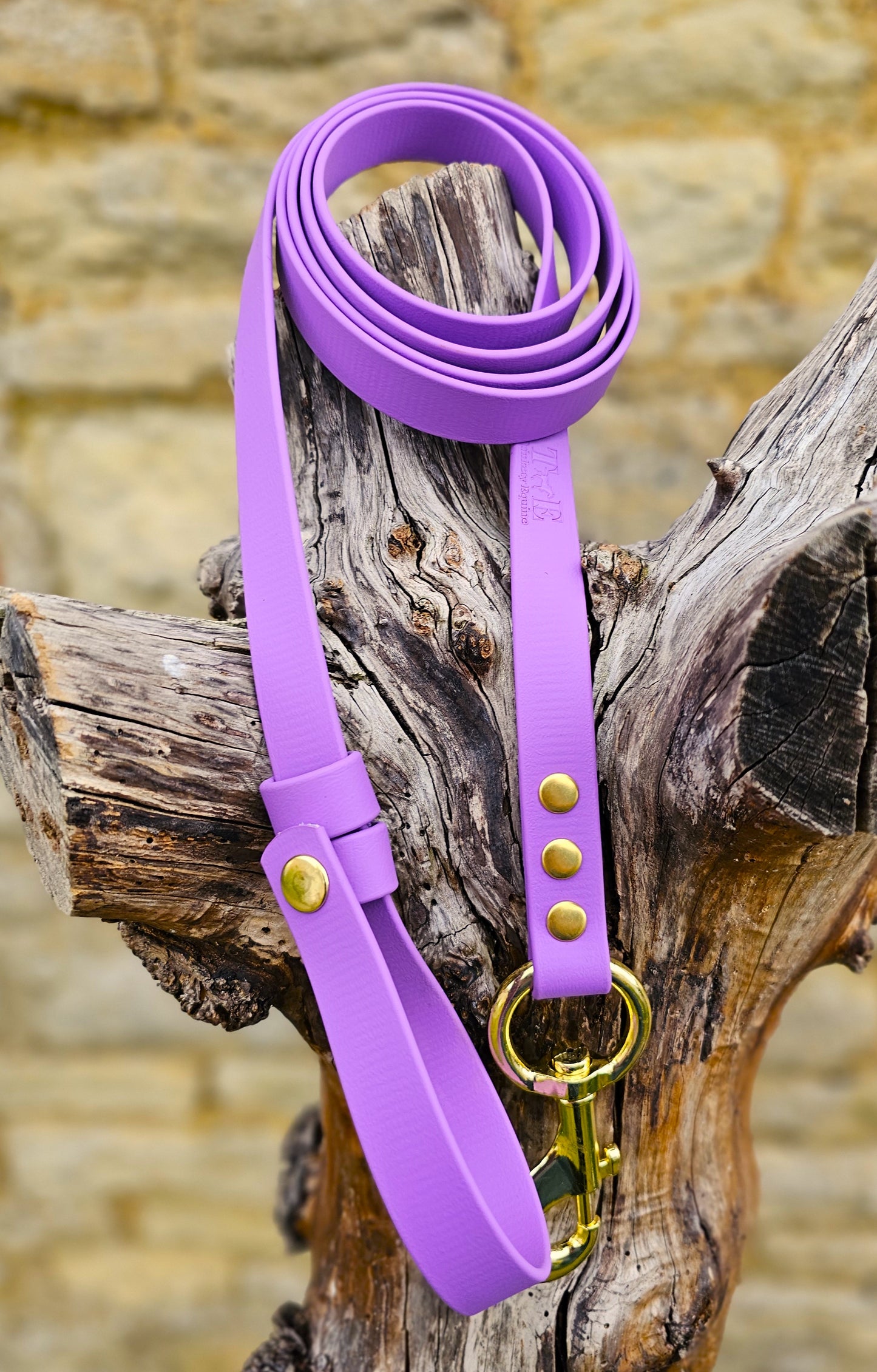 Amethyst- Waterproof BioThane® Break-Away Lead Line