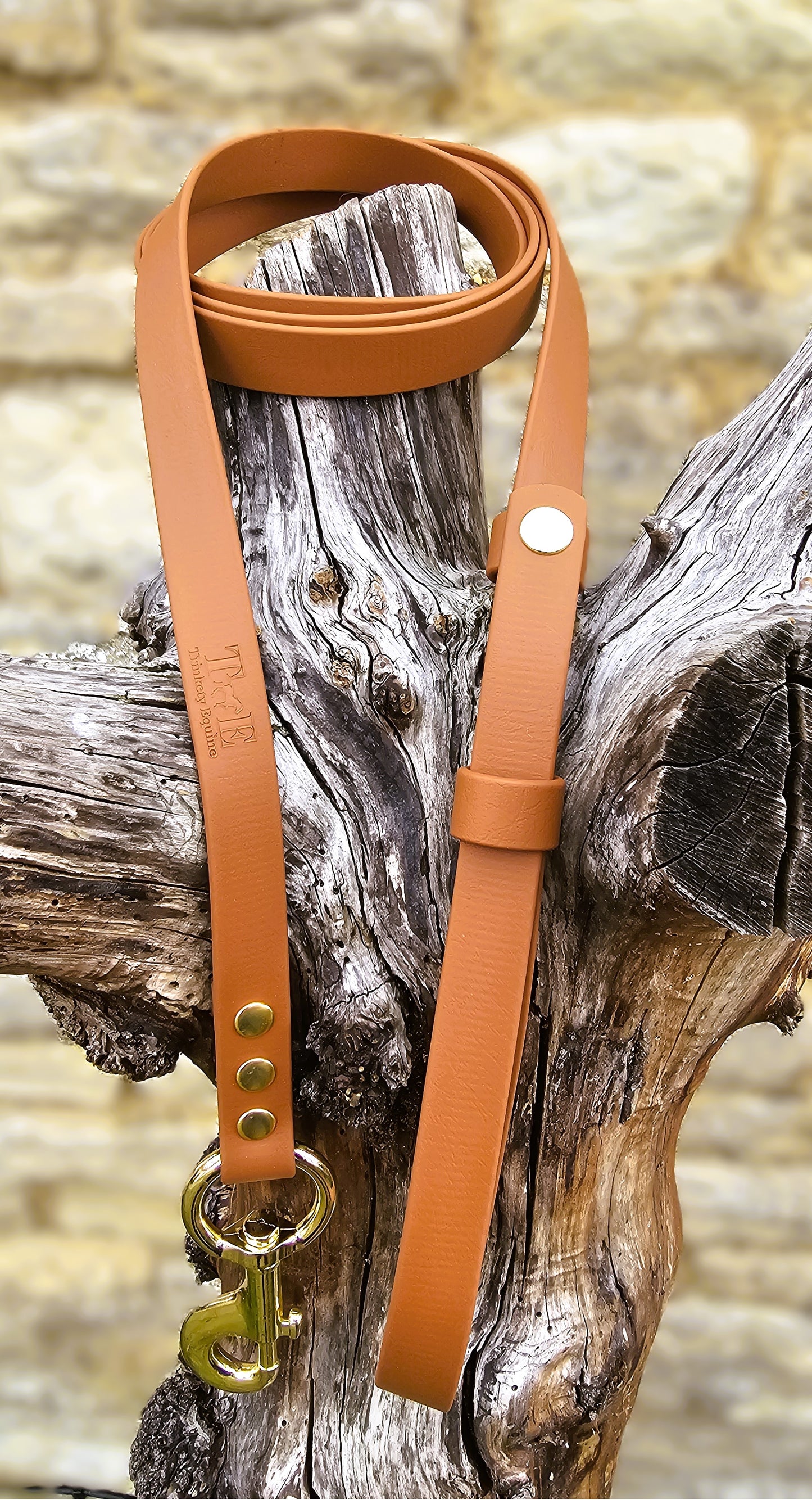 Tan - Waterproof BioThane® Break-Away Lead Line