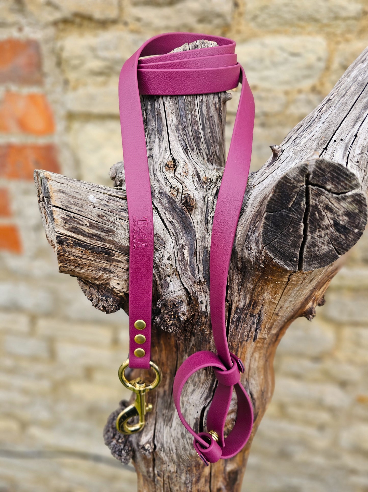 Burgundy - Waterproof BioThane® Break-Away Lead Line