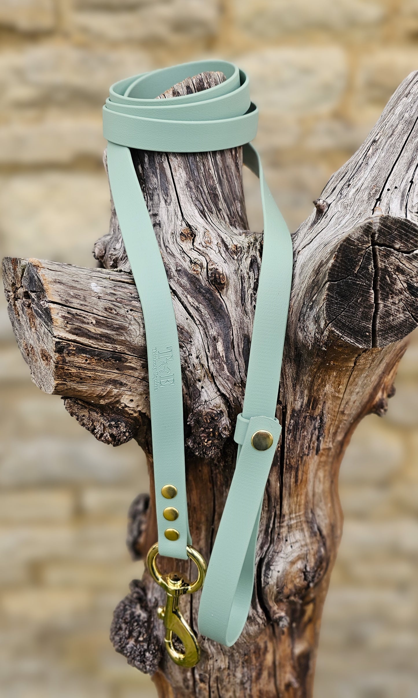 Sage - Waterproof BioThane® Break-Away Lead Line